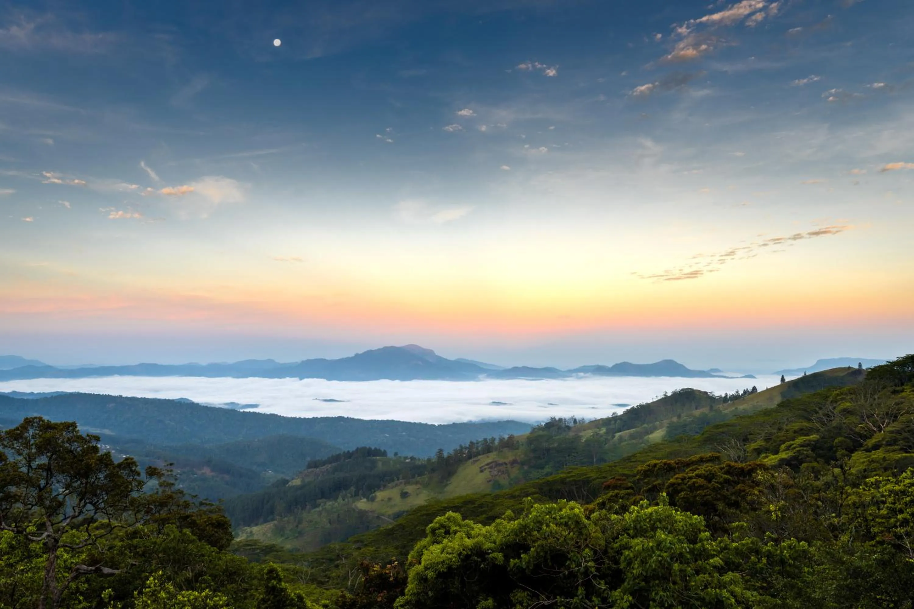 View (from property/room) in The Riverston Grand