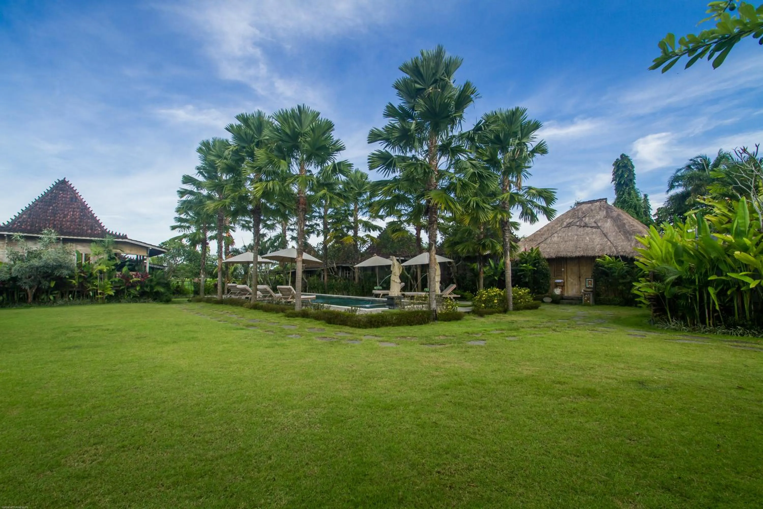 Natural landscape in Aswanaya Villas Ubud
