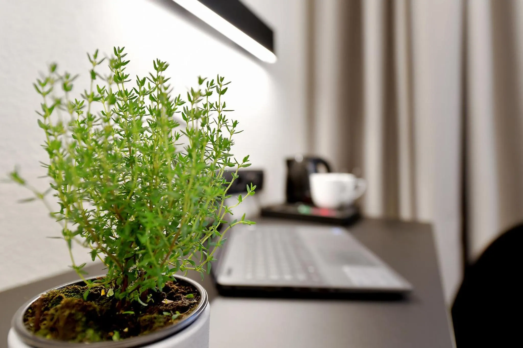 Coffee/tea facilities in Herbal Hotel Wrocław