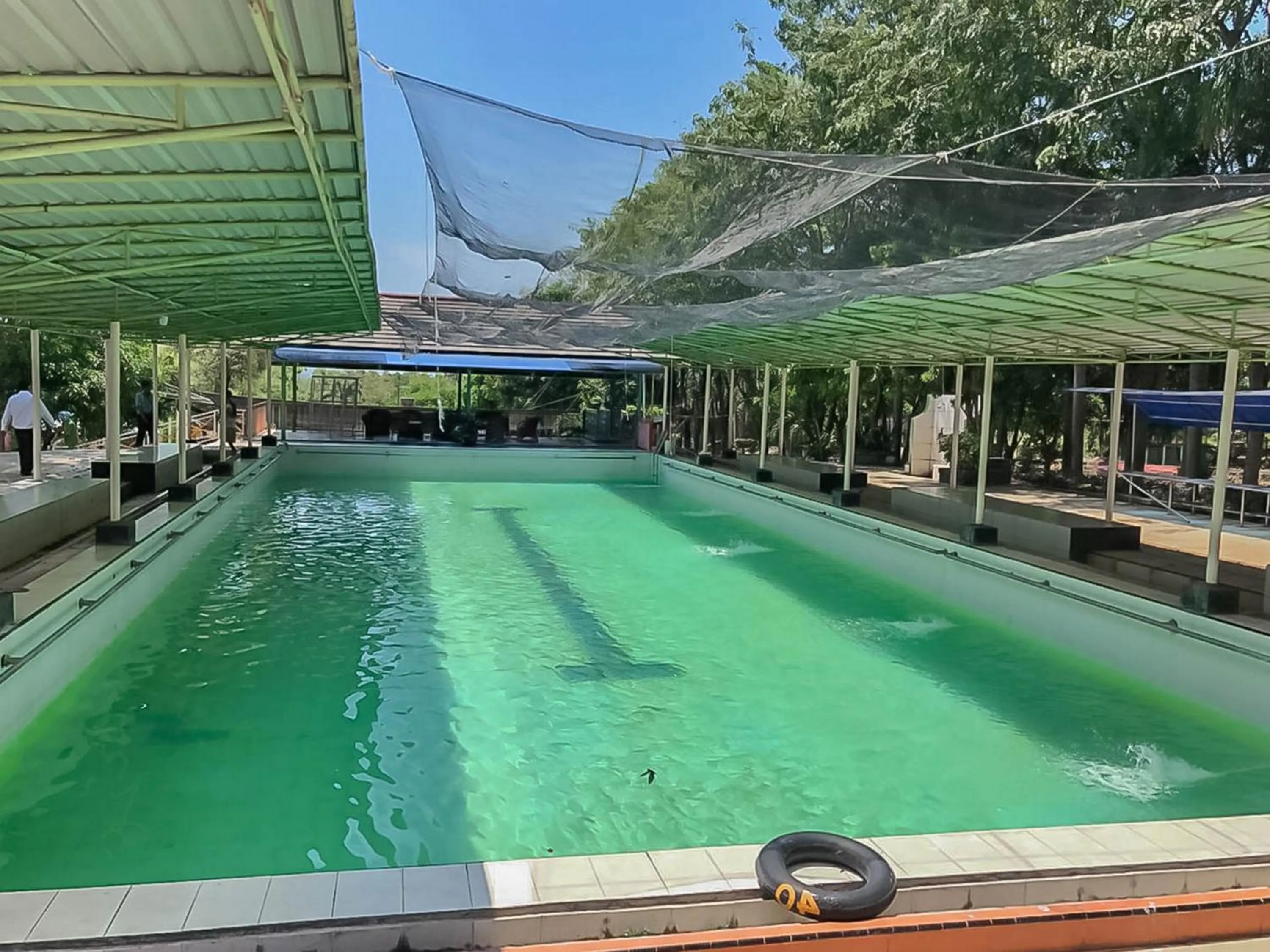 Swimming pool in Taman Wisata Siwalk Cottage Syariah RedPartner