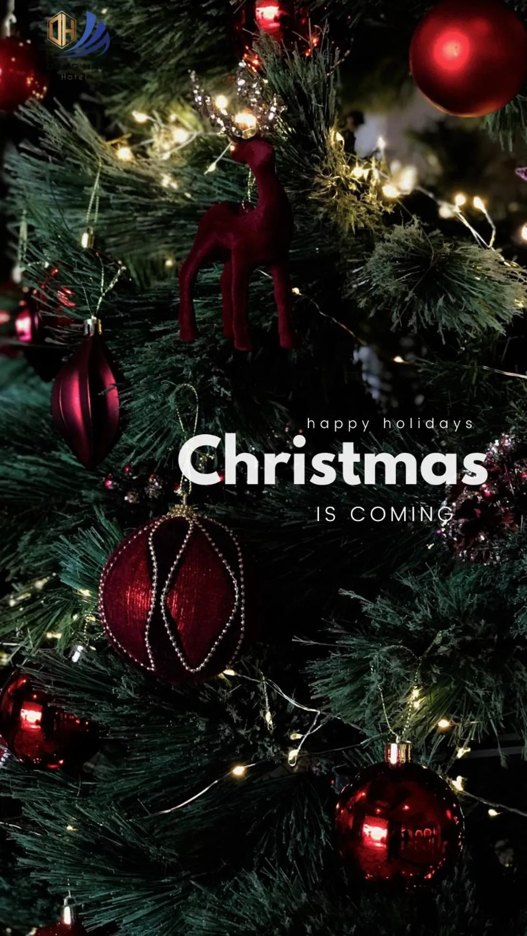 Communal lounge/ TV room in Dong Hai Hotel _ Rach Gia