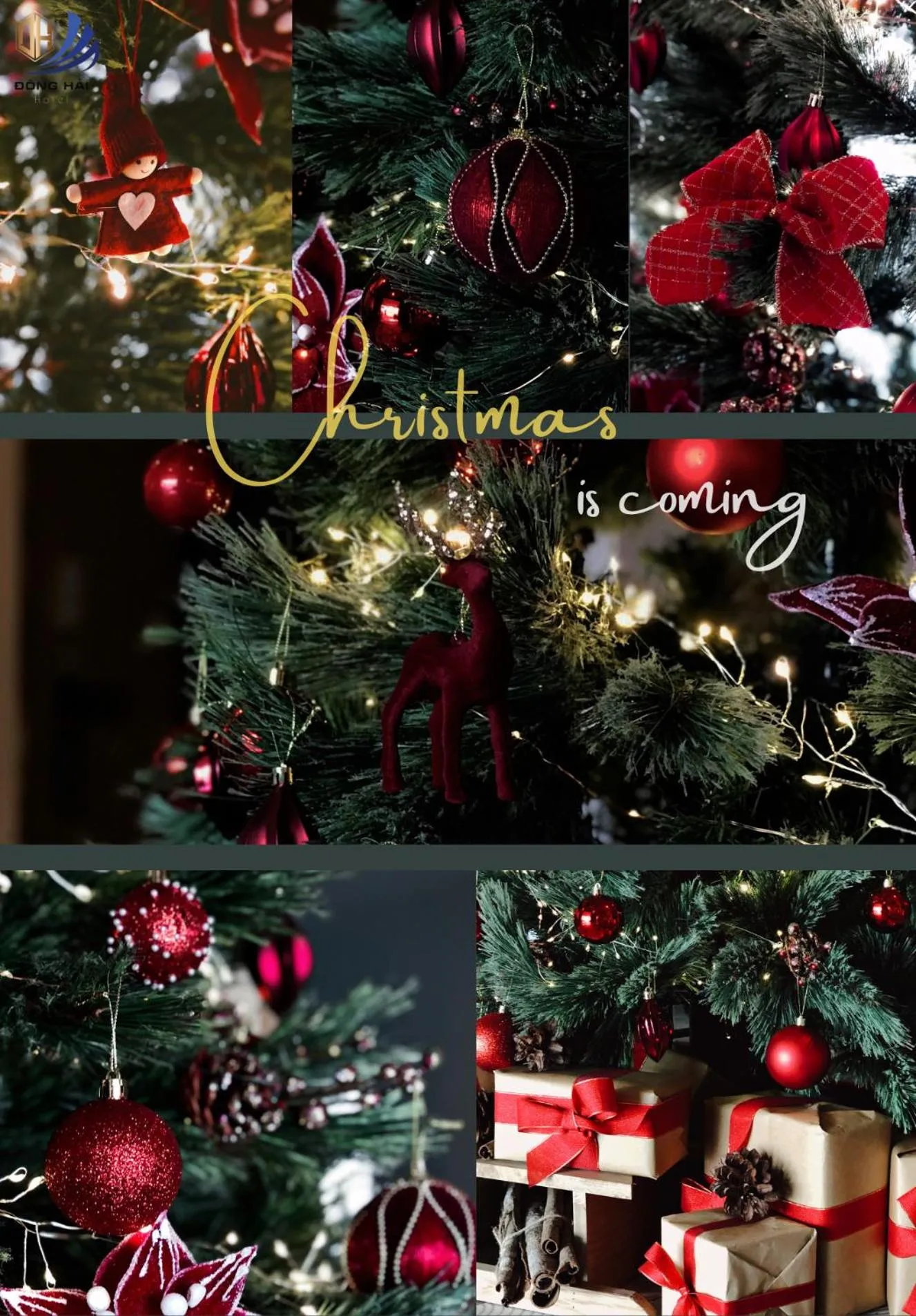 Communal lounge/ TV room in Dong Hai Hotel _ Rach Gia