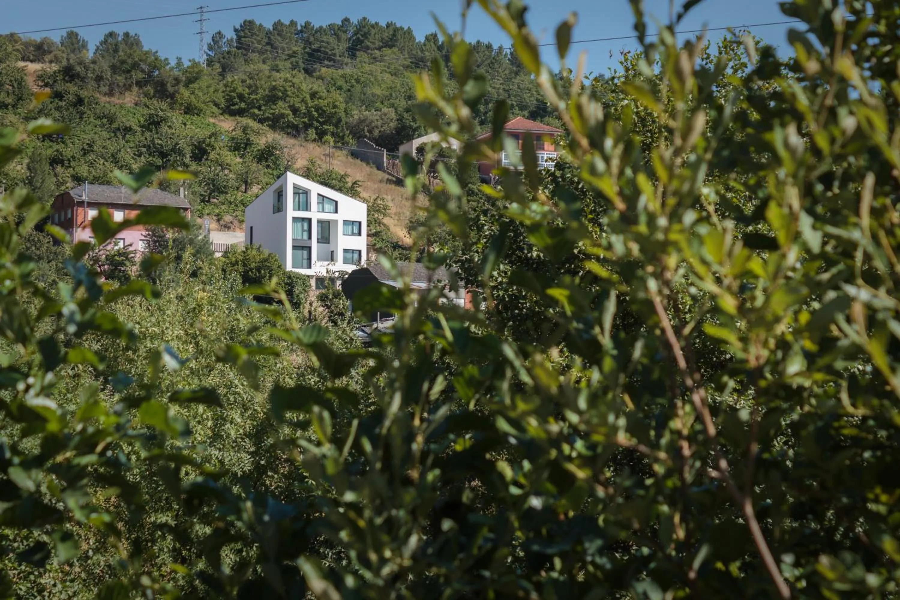 Area and facilities in Hostal Tres Campanas