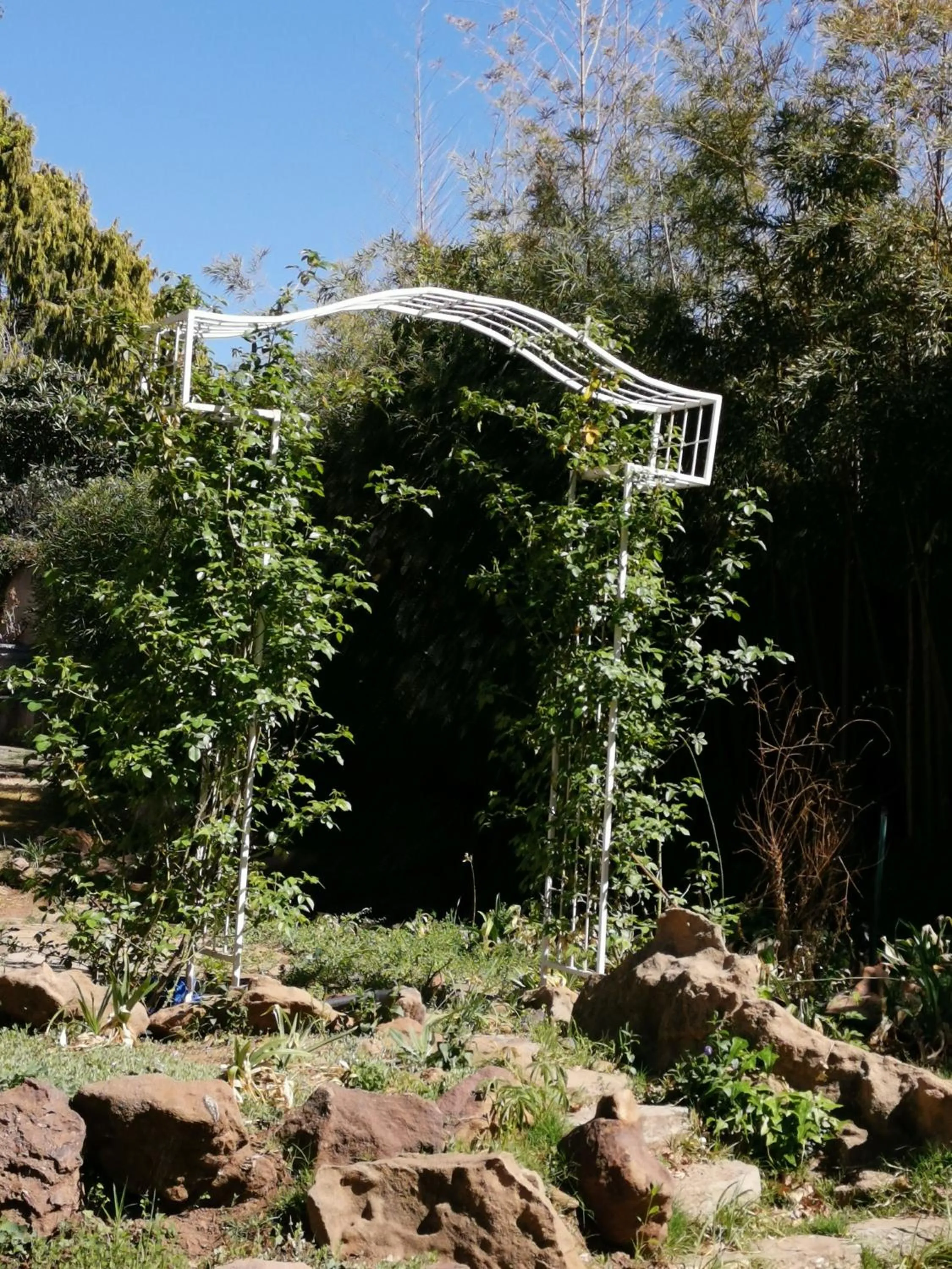 Lucolo Palace B&B Aliwal North