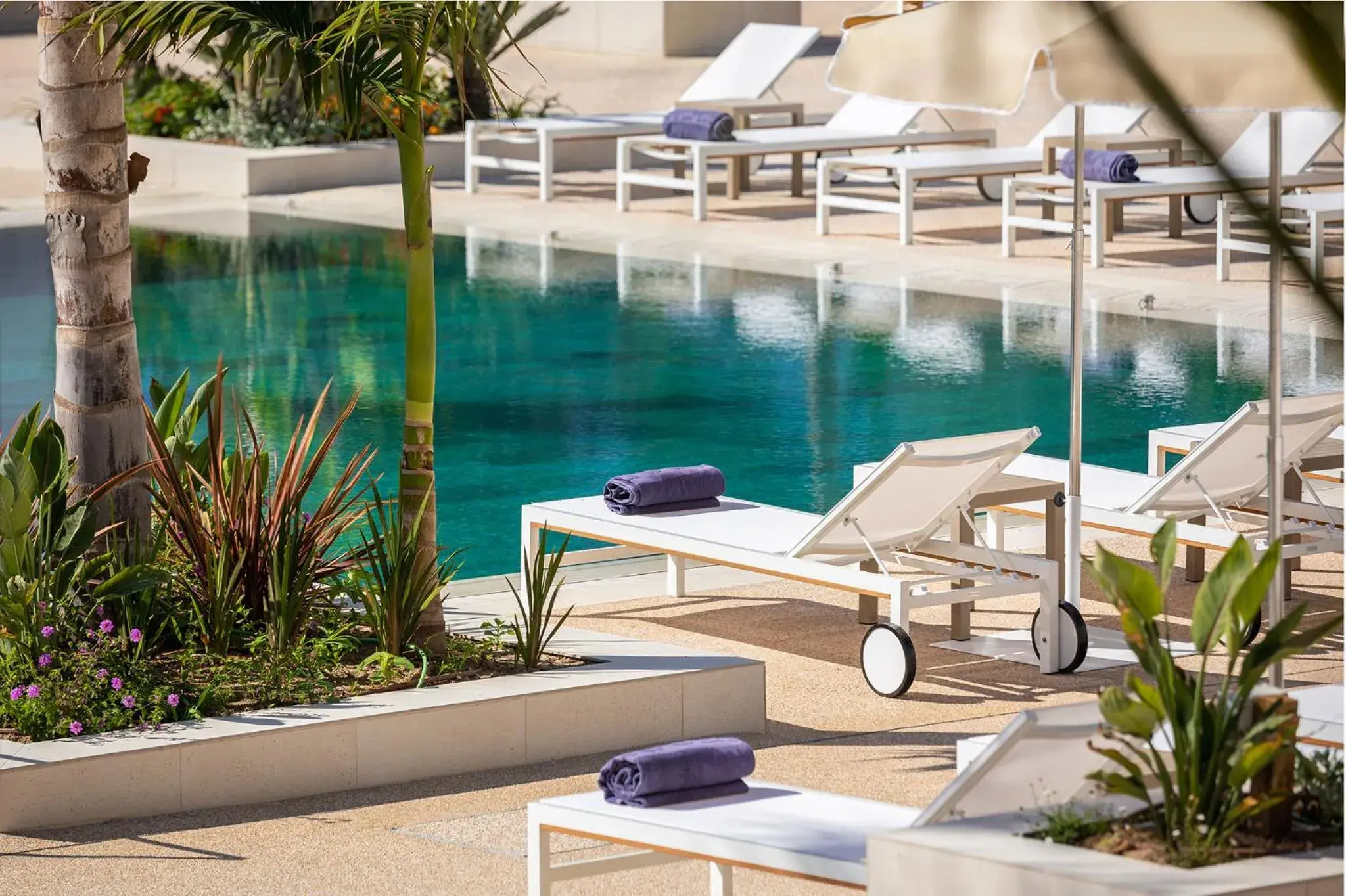 Swimming pool in Atzavara Hotel & Spa Swimming pool in Atzavara Hotel & Spa