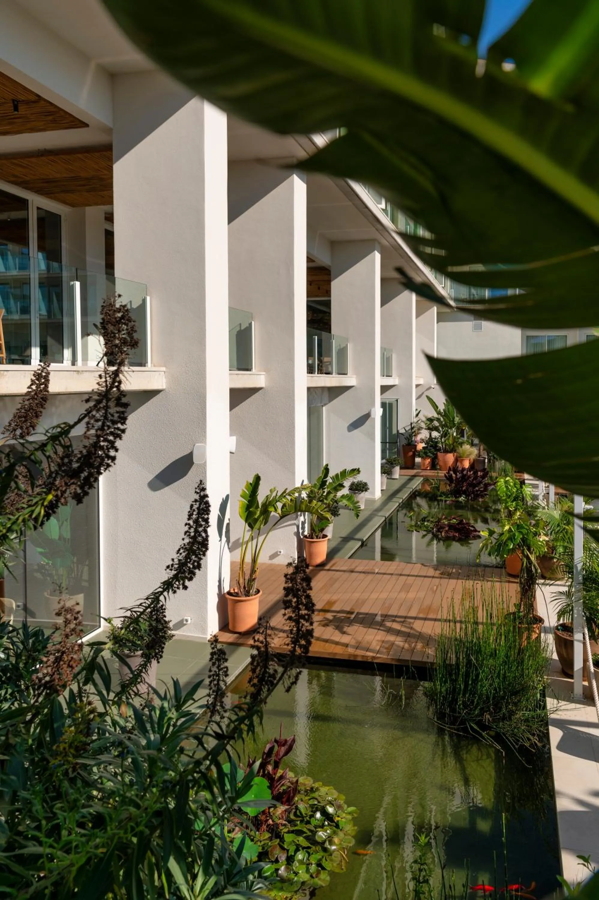 Restaurant/places to eat in Atzavara Hotel & Spa