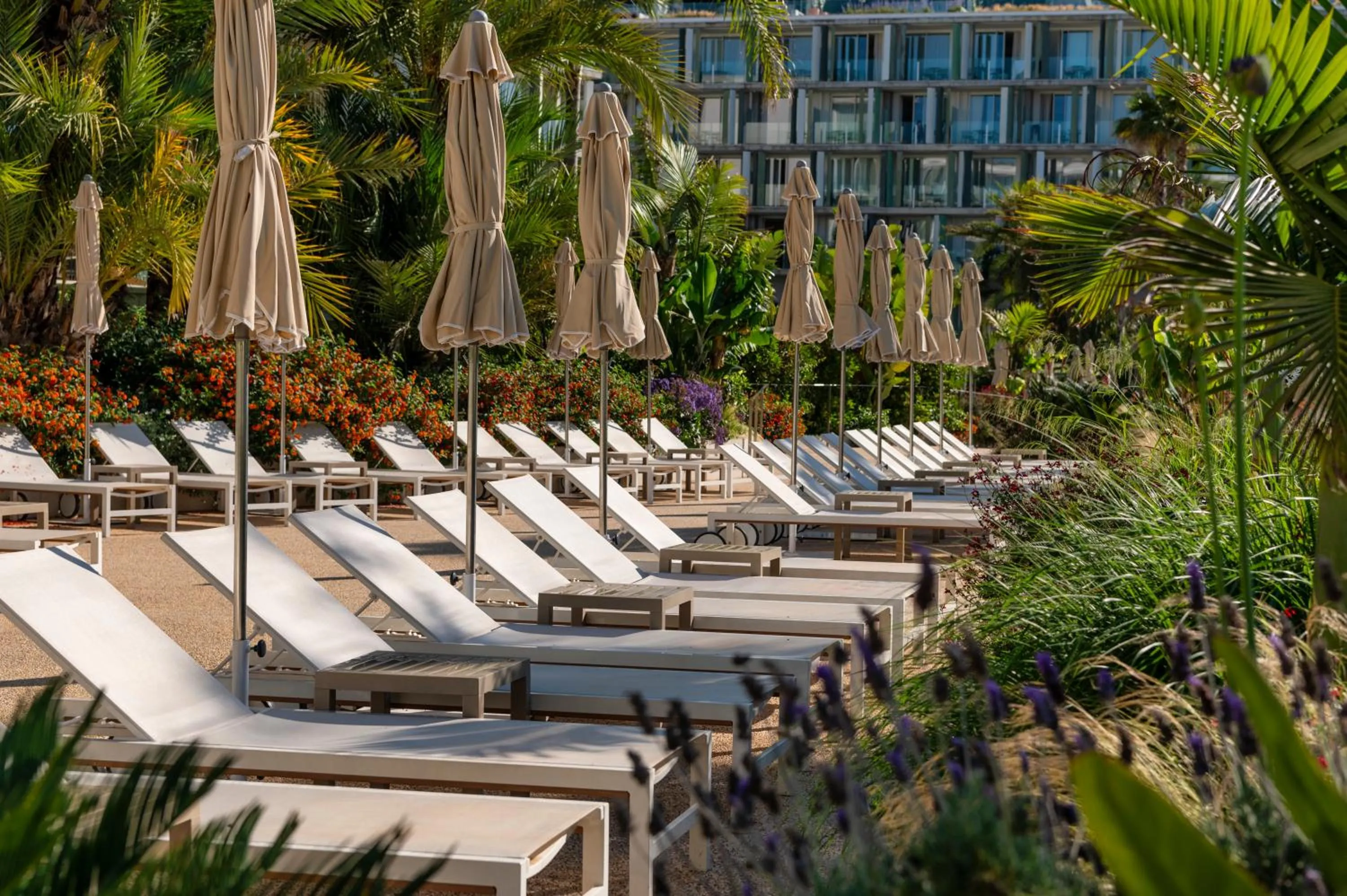 sunbed in Atzavara Hotel & Spa