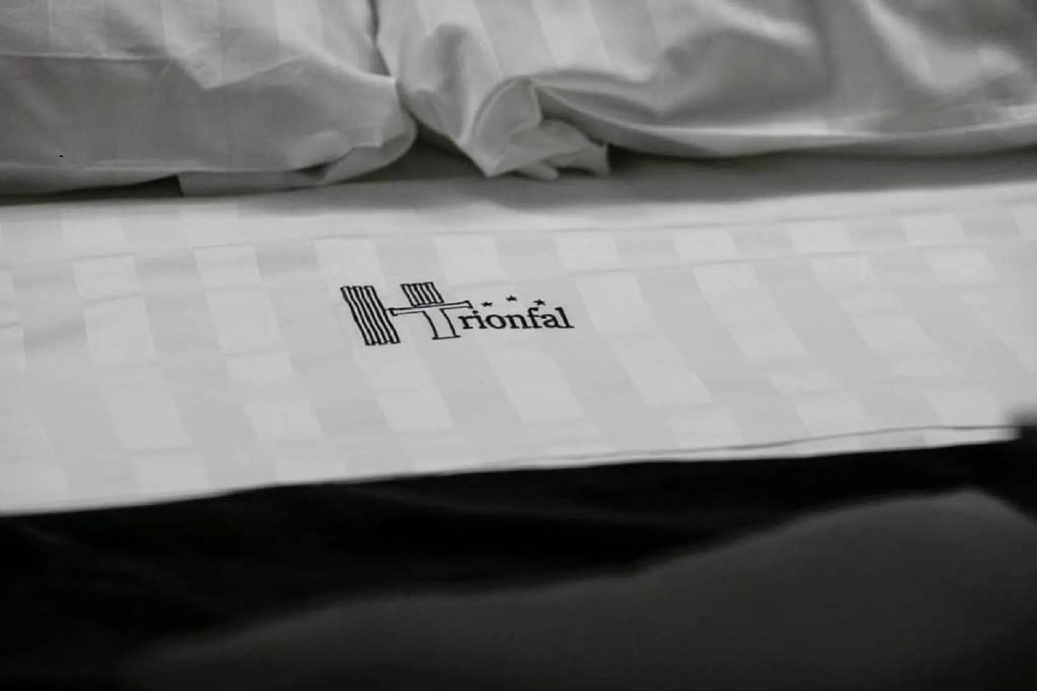Decorative detail, Bed in Hotel Trionfal