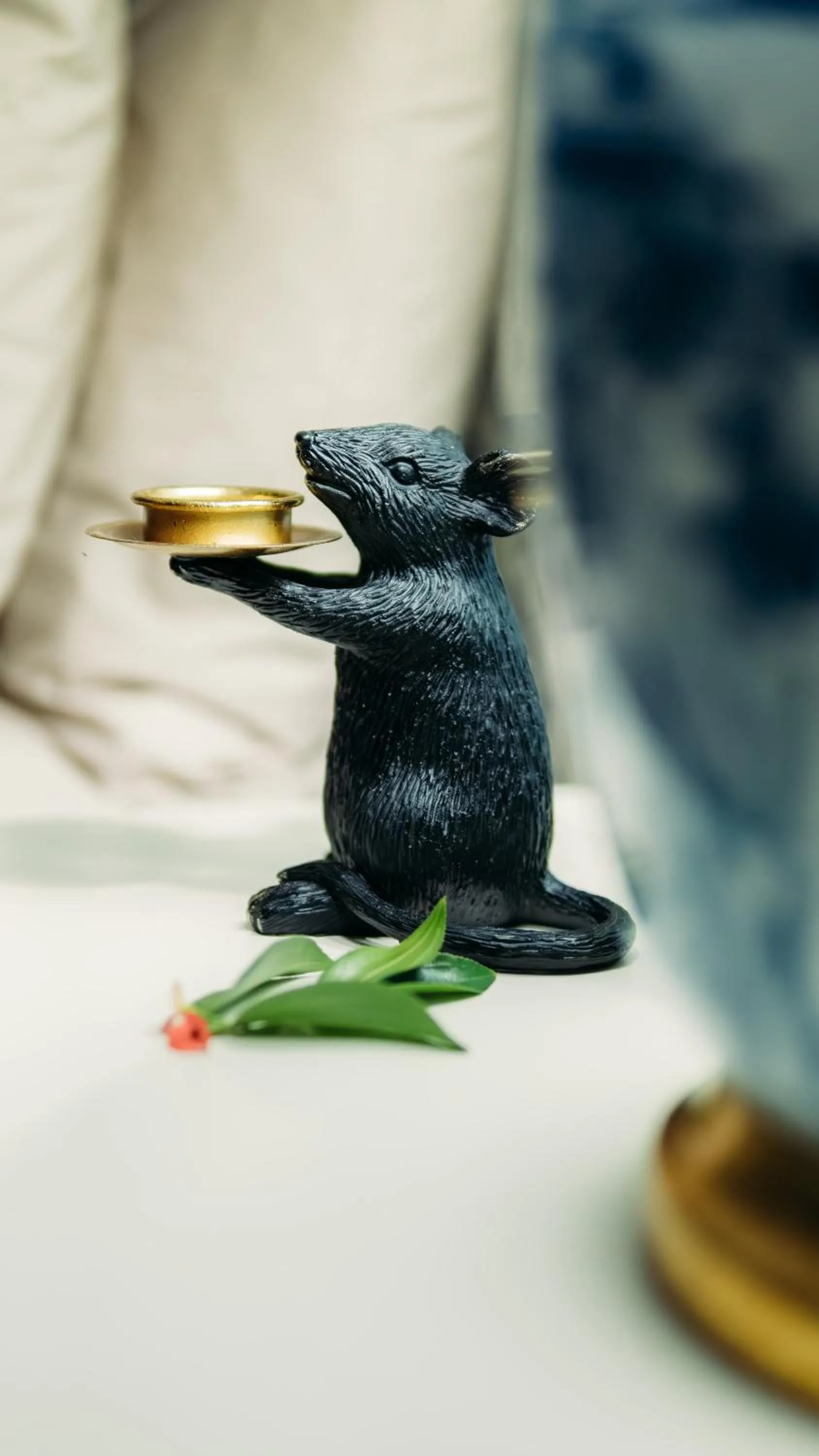 Safari Moon Luxury Bush Lodge