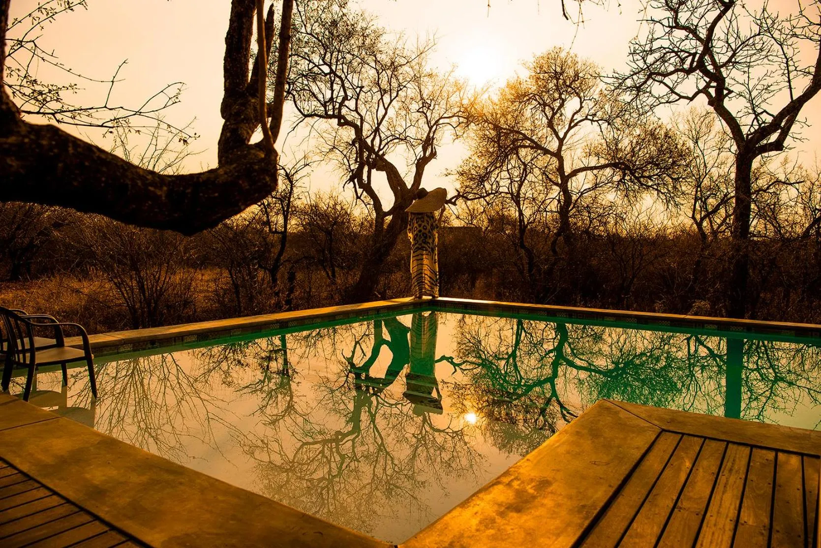 Pool view in Safari Moon Luxury Bush Lodge