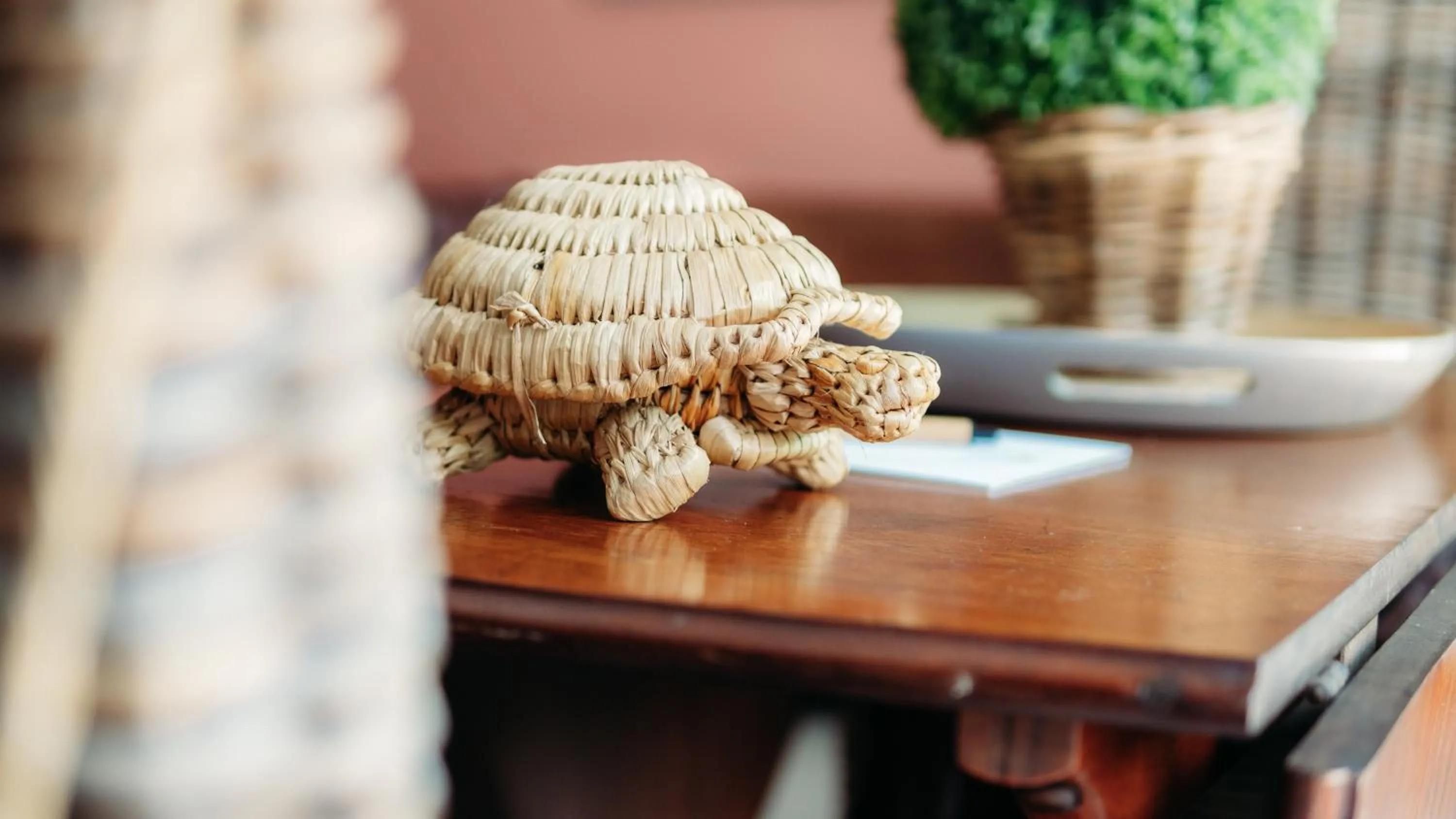 Safari Moon Luxury Bush Lodge