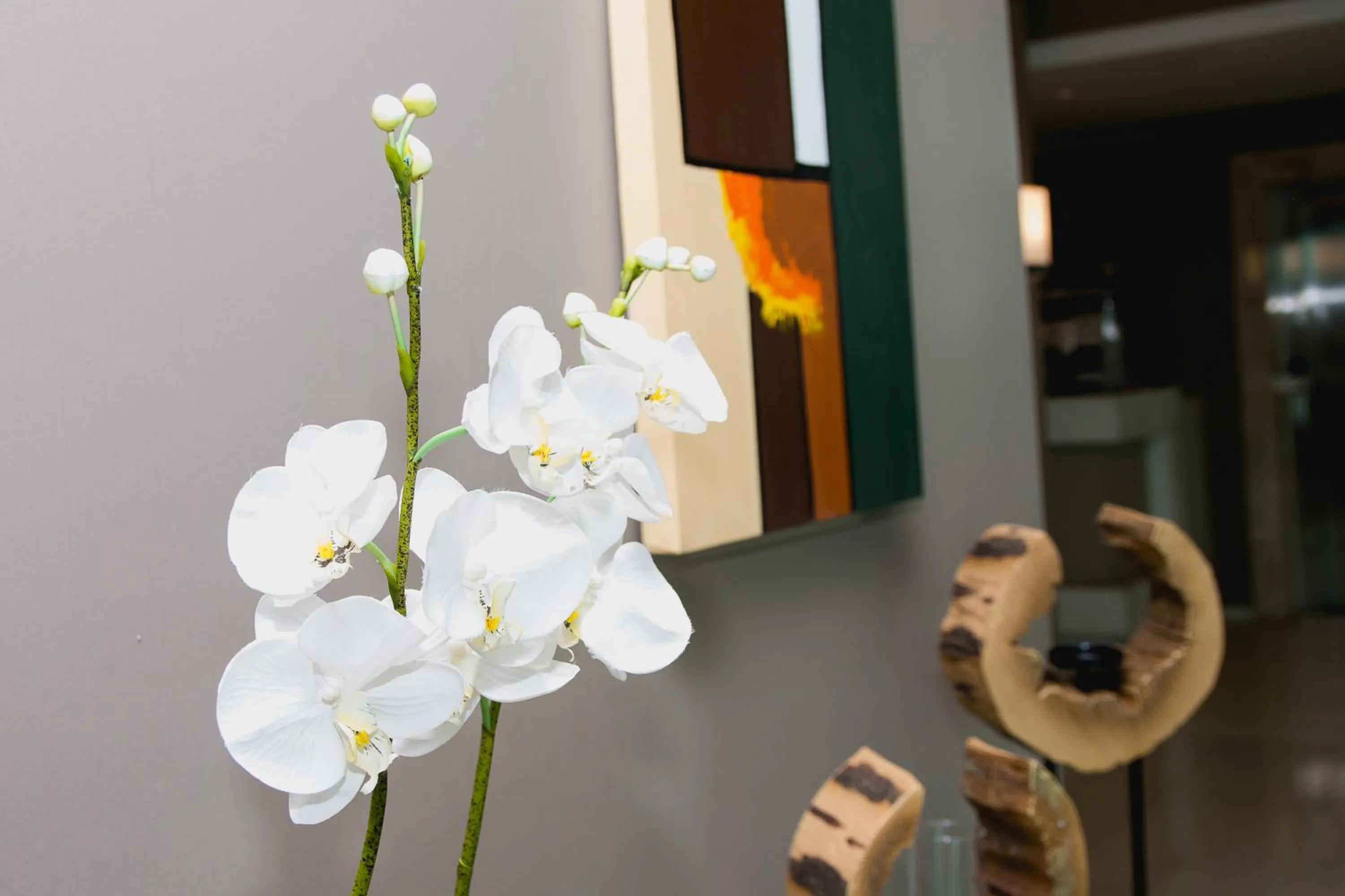 Entertainment in Class Hotel Pouso Alegre