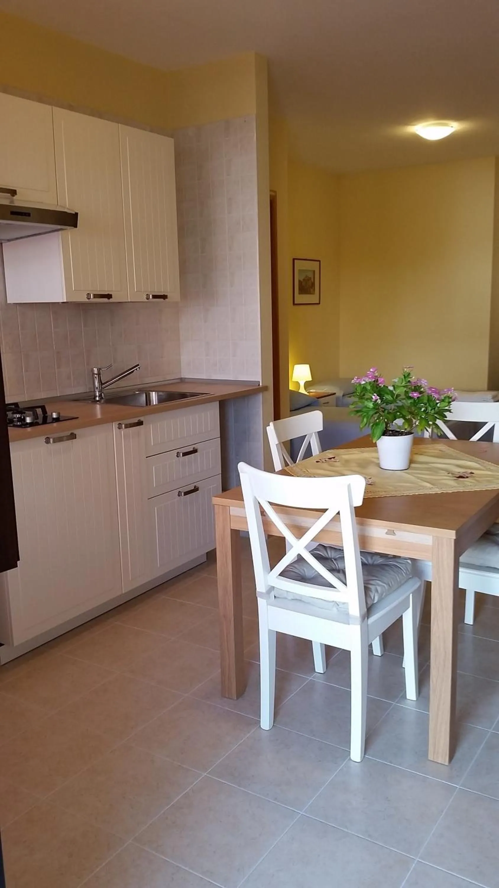 Kitchen or kitchenette in Ciao Hotel & Residence - Apartments