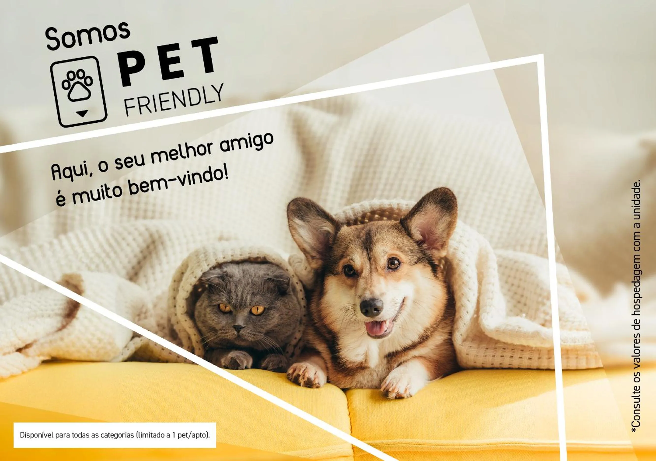 Pets in Slim Bento Gonçalves