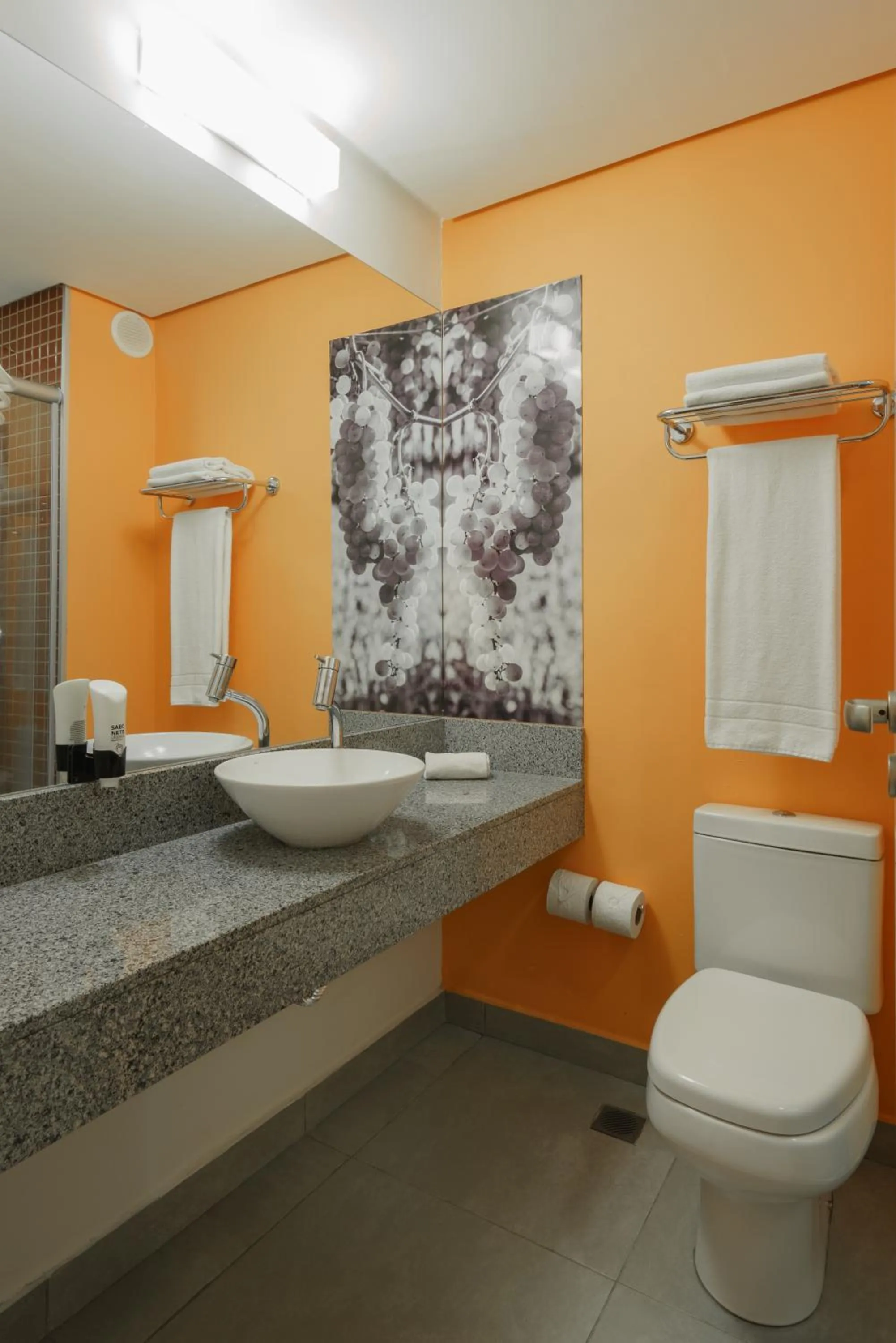 Toilet in Slim Bento Gonçalves