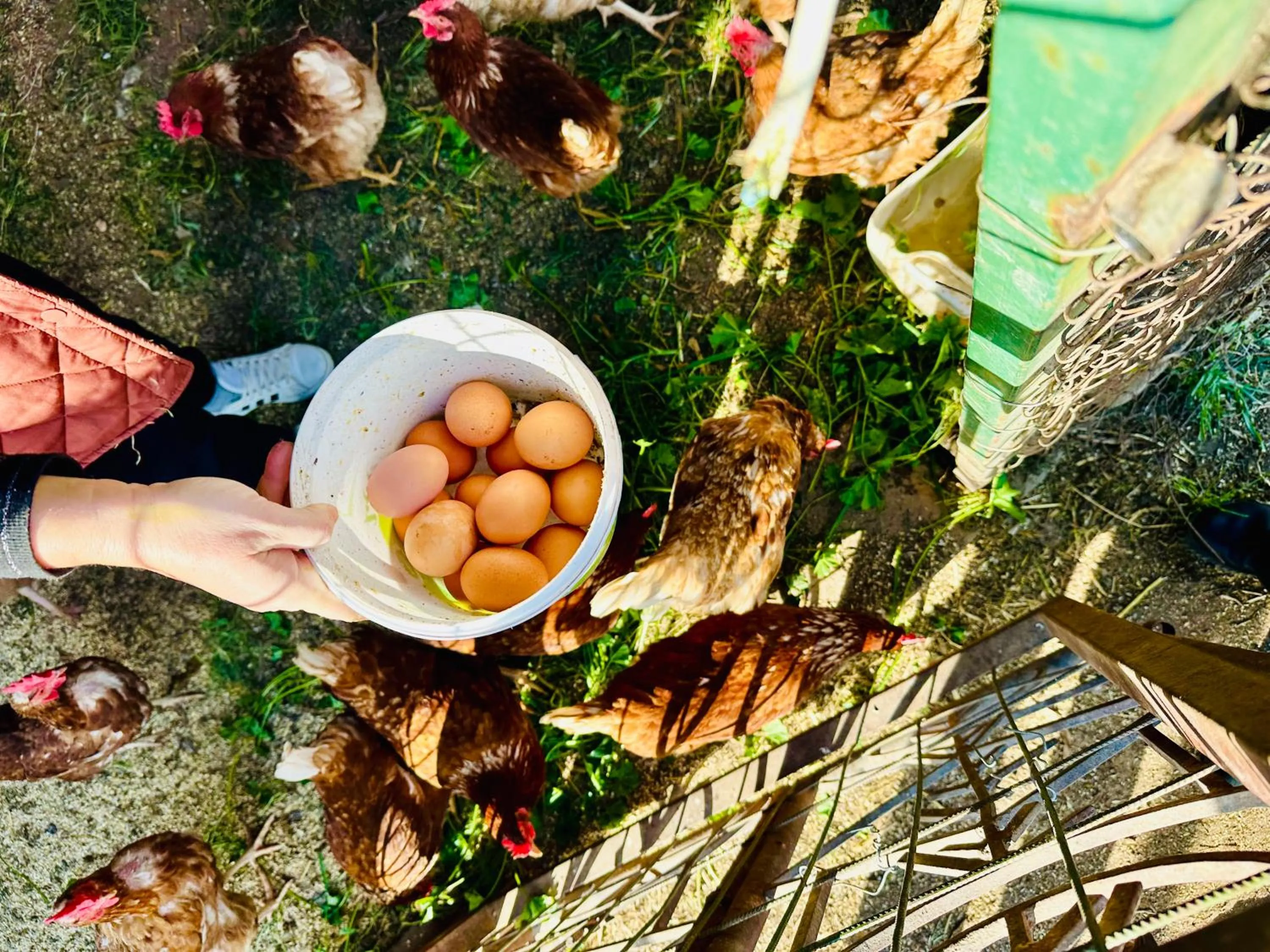 Area and facilities in Celebi Garden Hotel - Cittaslow Retreat