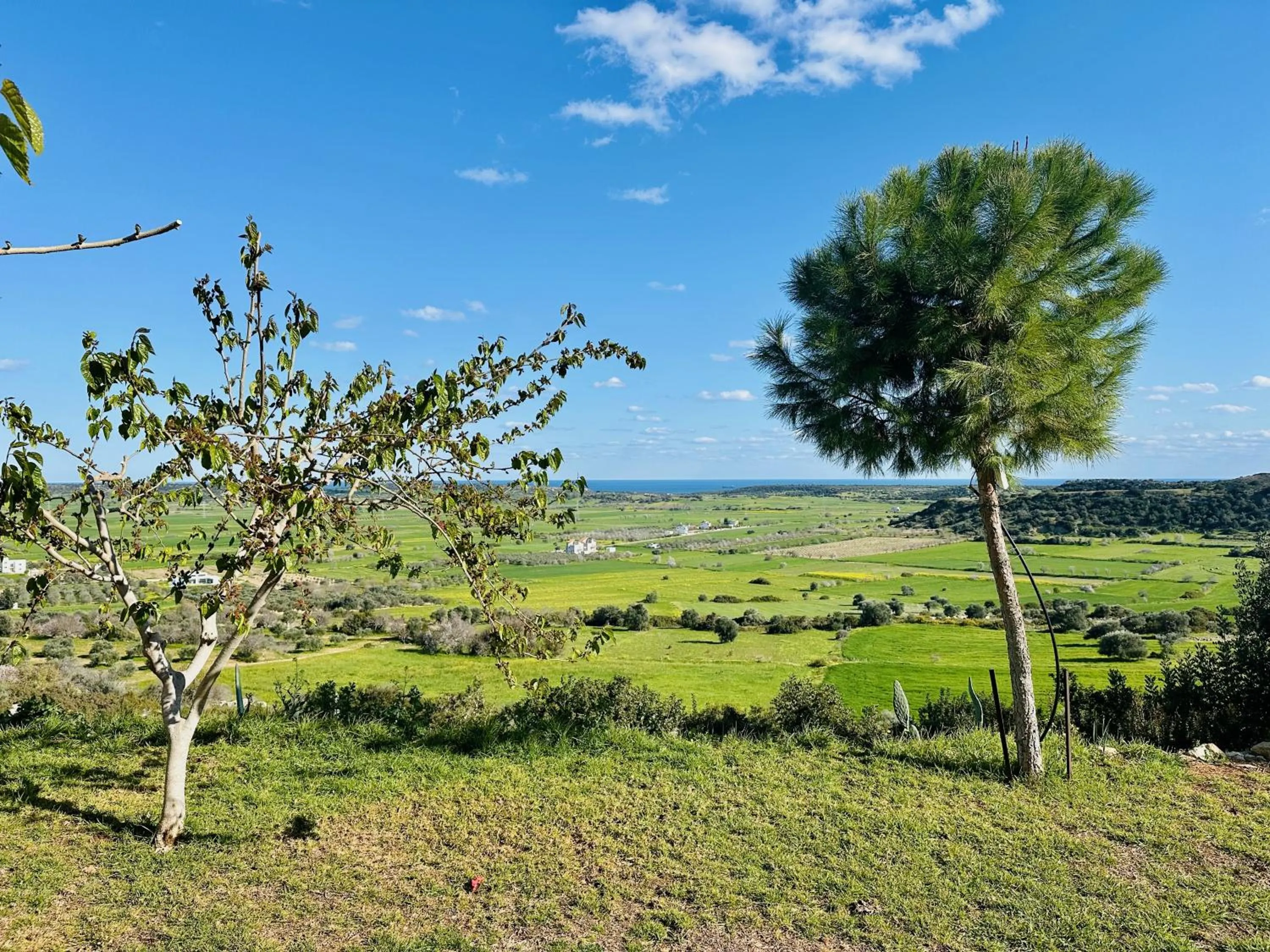 Garden in Celebi Garden Hotel - Cittaslow Retreat