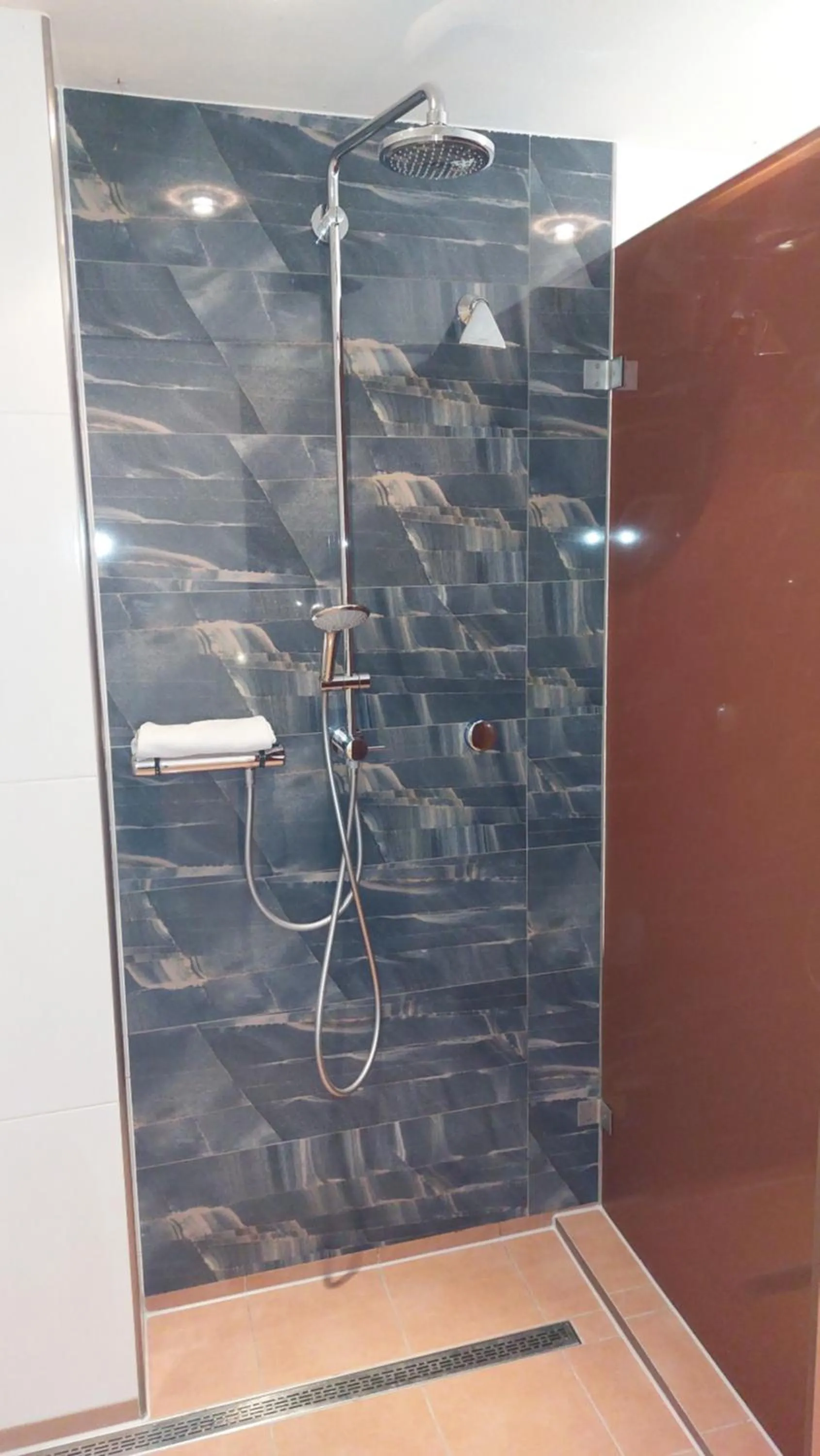 Shower in Ferienresidenz Brauneberger Hof an der Mosel nahe Bernkastel-Kues