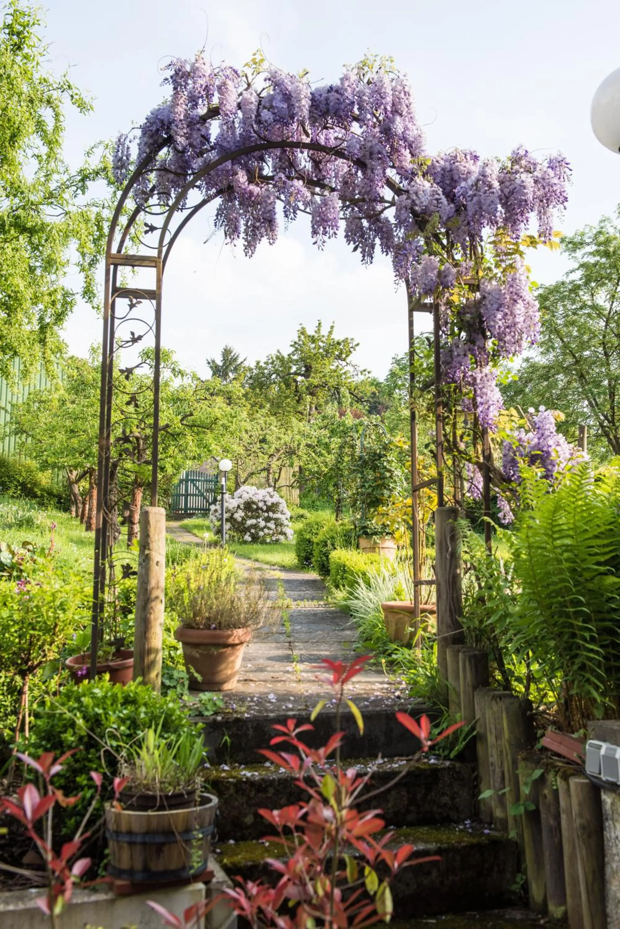 Garden in Ferienresidenz Brauneberger Hof an der Mosel nahe Bernkastel-Kues