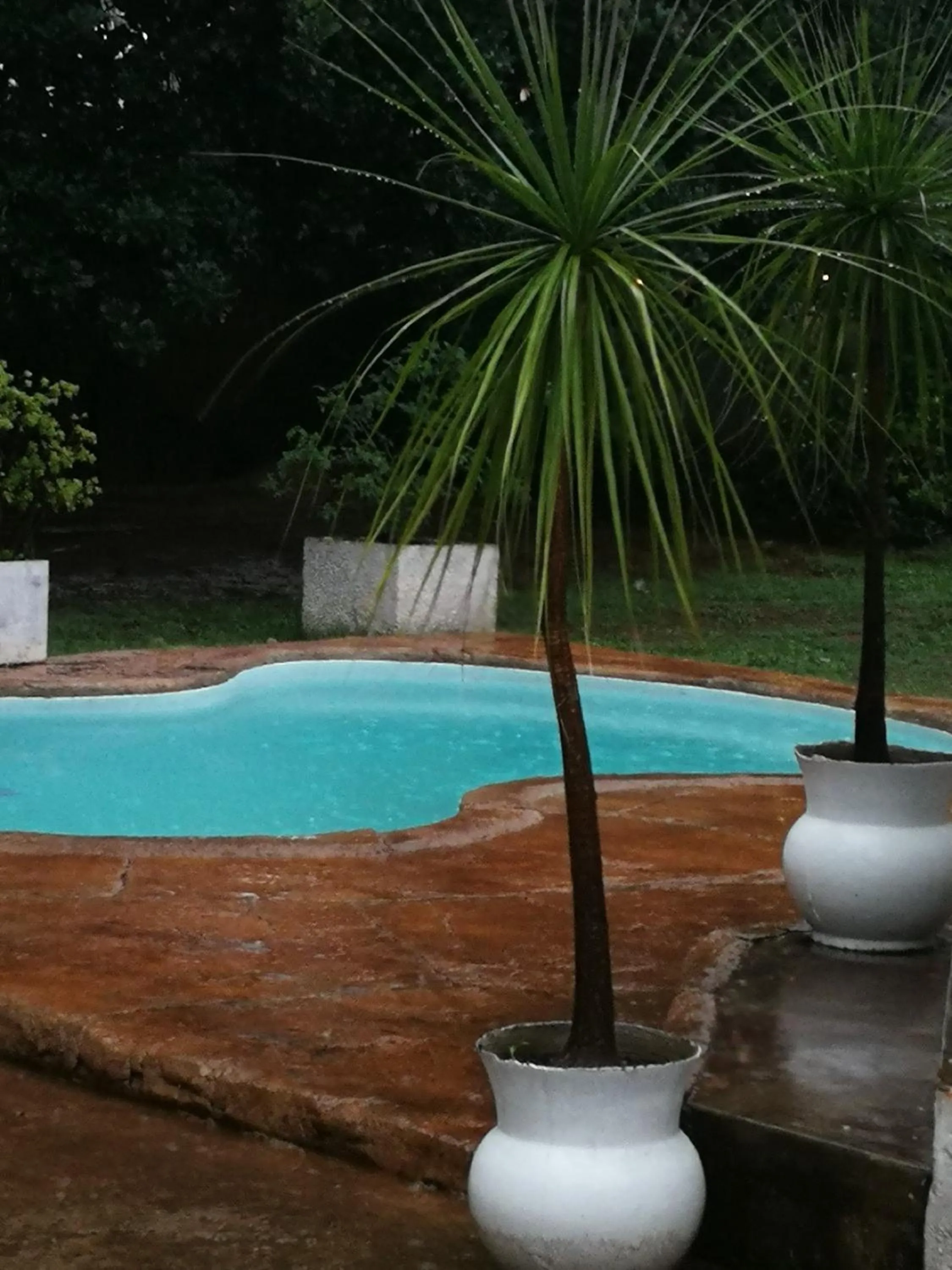 Pool view in Heatherdale Guesthouse & Shuttle Services