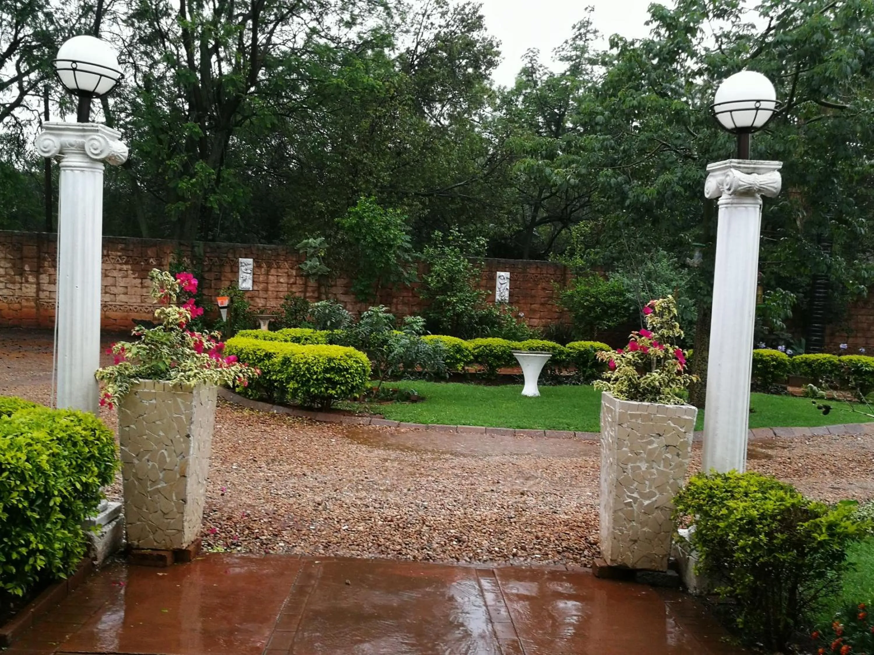 Garden view in Heatherdale Guesthouse & Shuttle Services