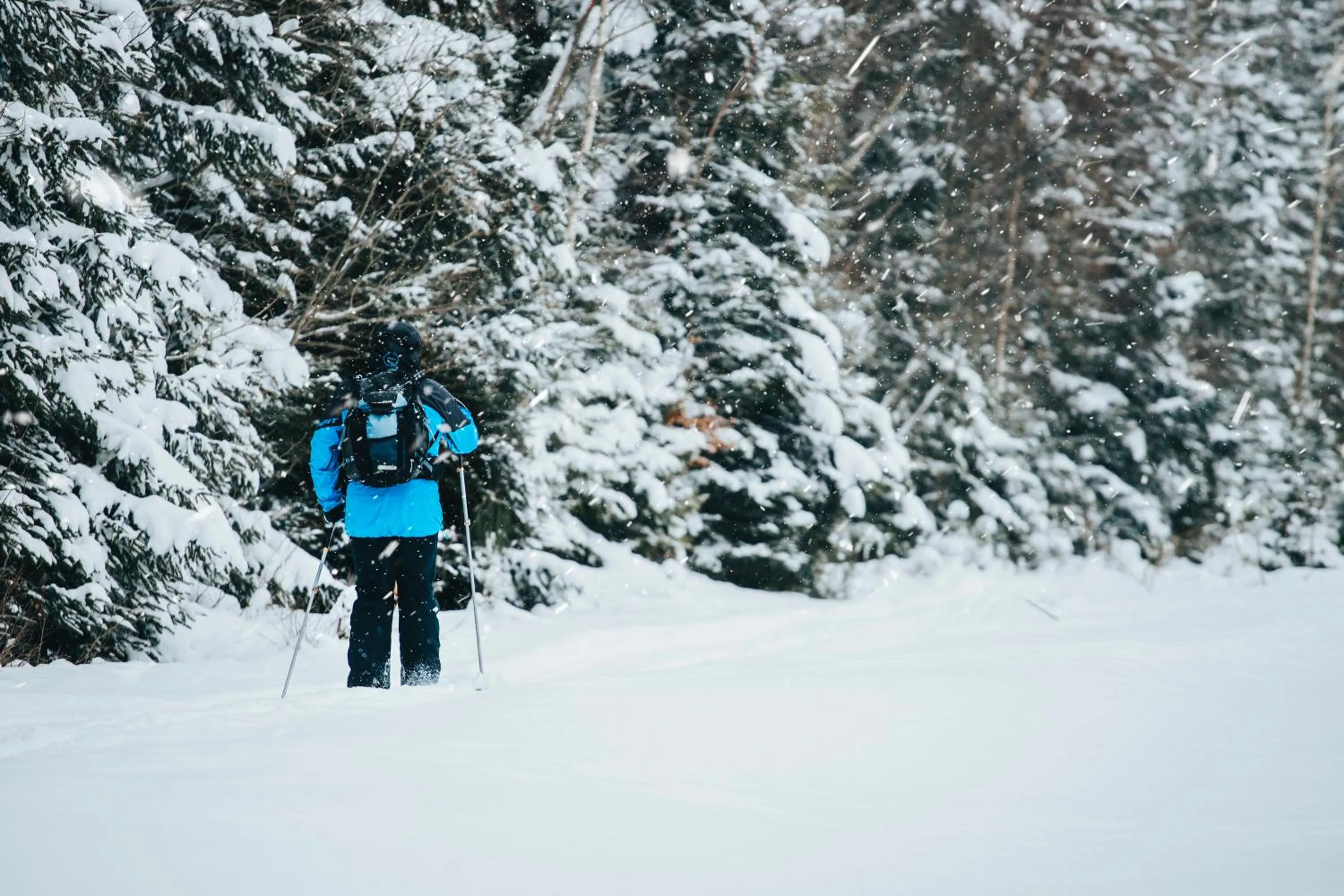 Ski School in Stacja Szklarska Poręba - cisza i komfort