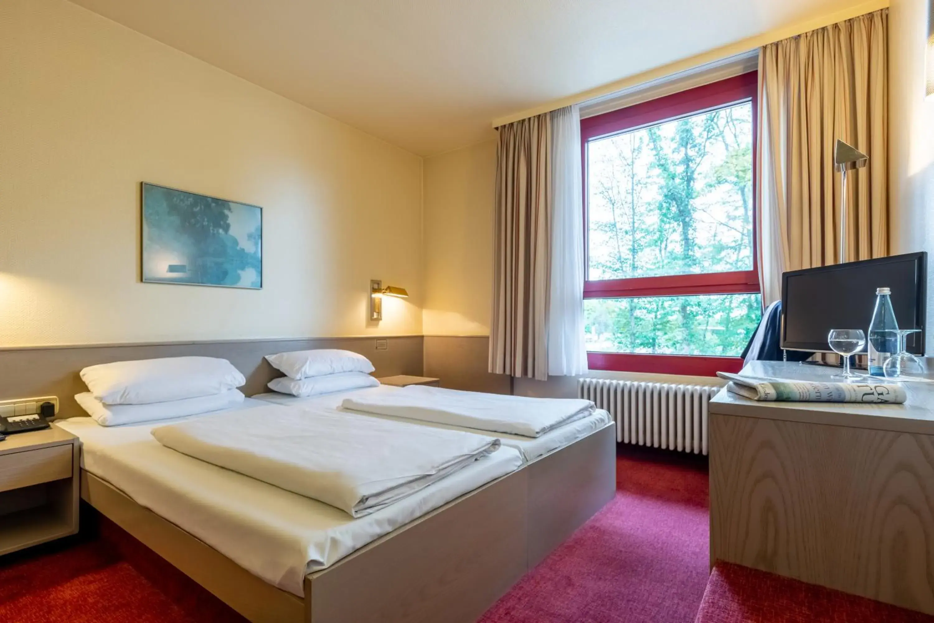 Standard Double Room - single occupancy in Hotel Baden-Baden Standard Double Room - single occupancy in Hotel Baden-Baden