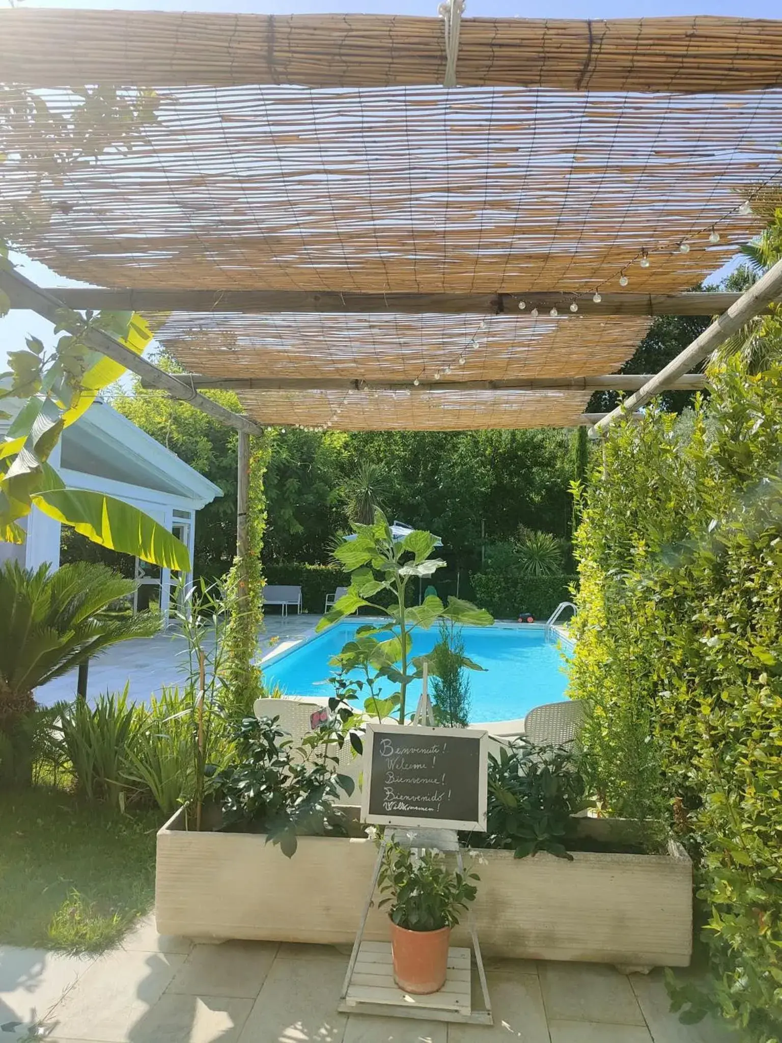 B&B Il Giardino Mediterraneo B&B Il Giardino Mediterraneo
