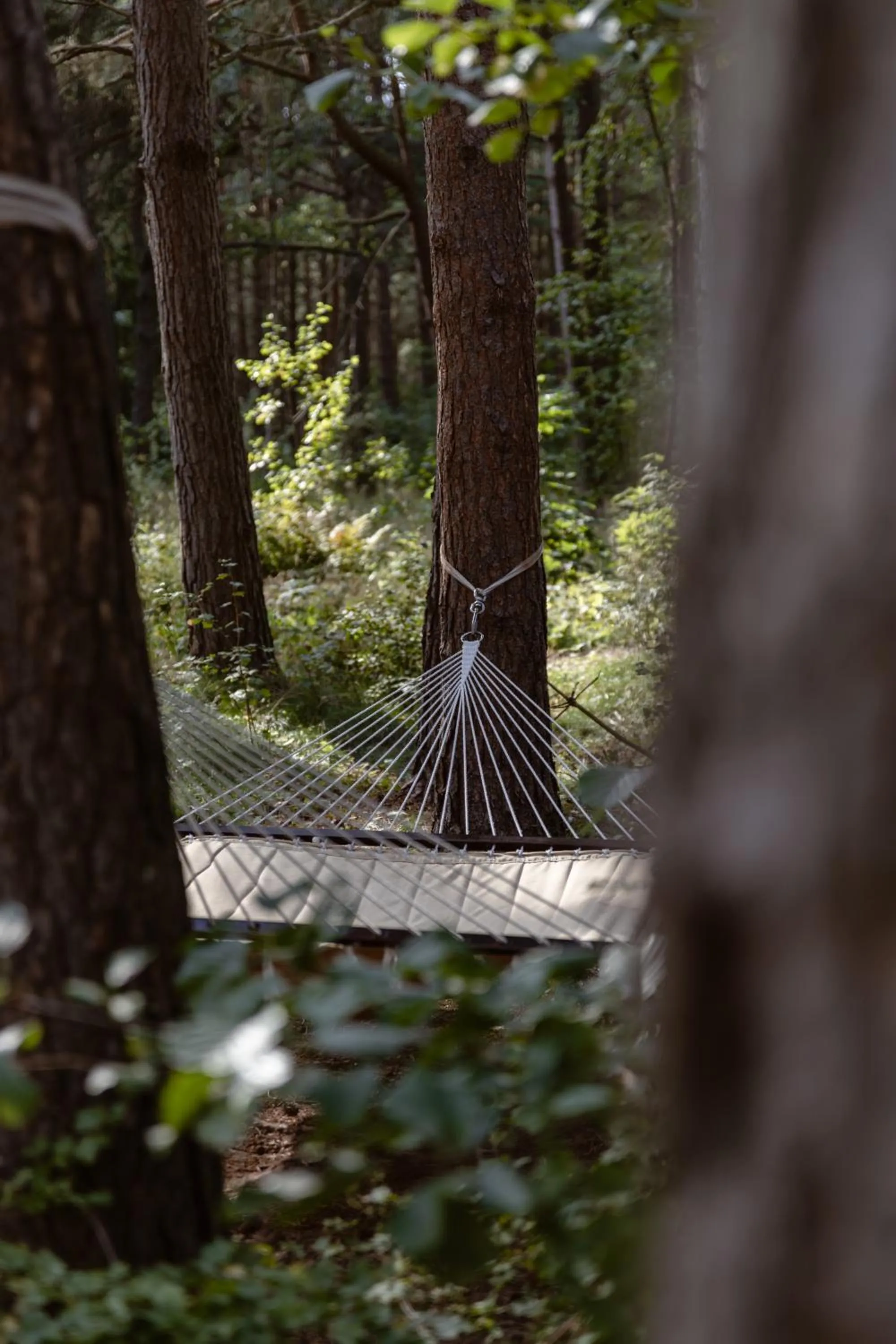 Garden in Gradiali Wellness and SPA