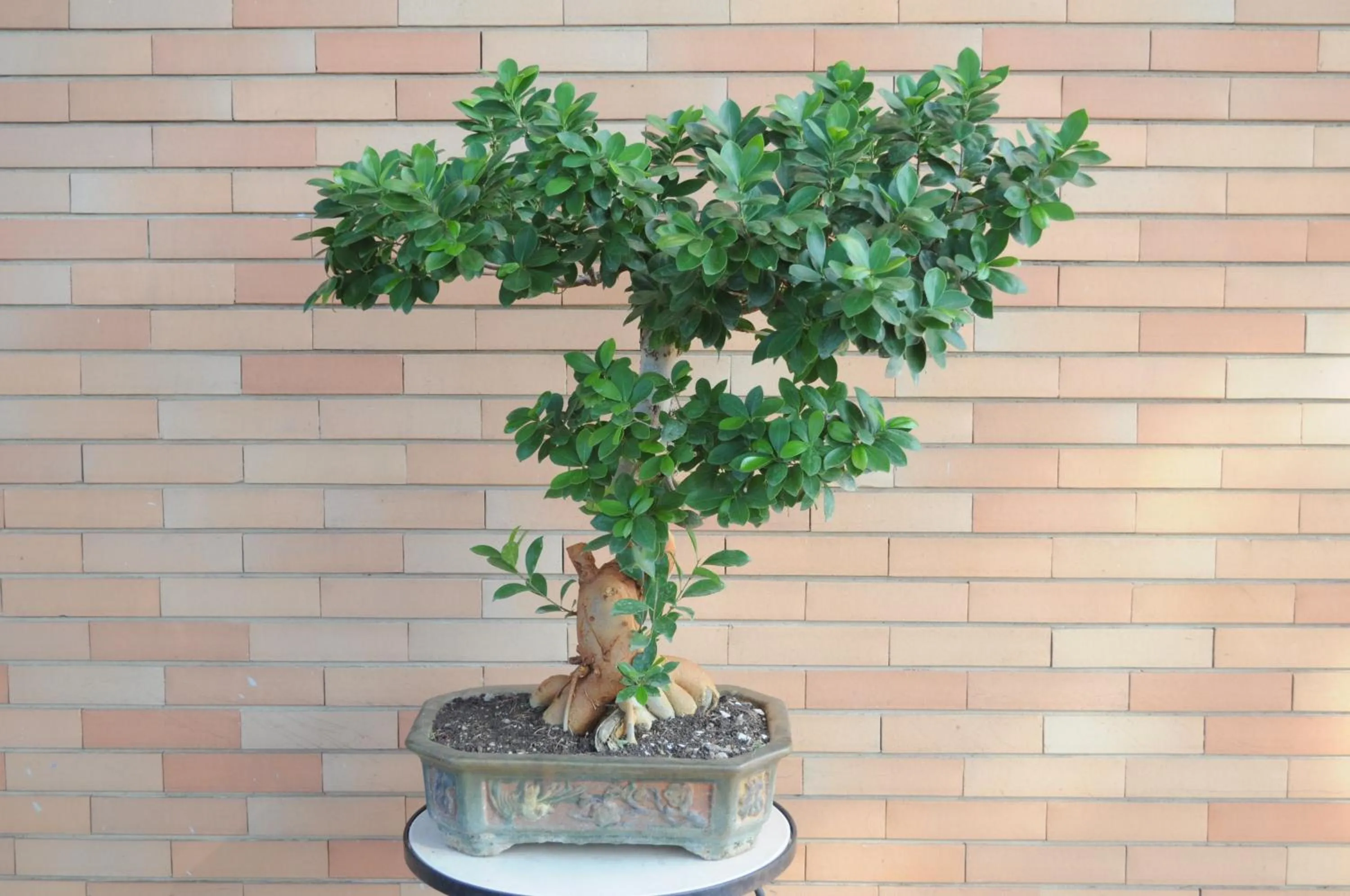 Other in Marinetta Bed & Breakfast