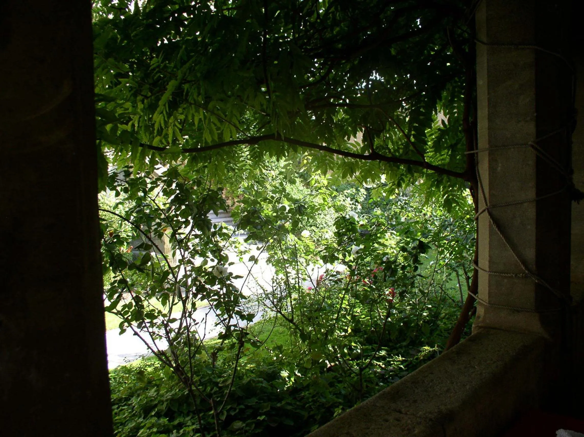 Garden in La Maison de Sophie