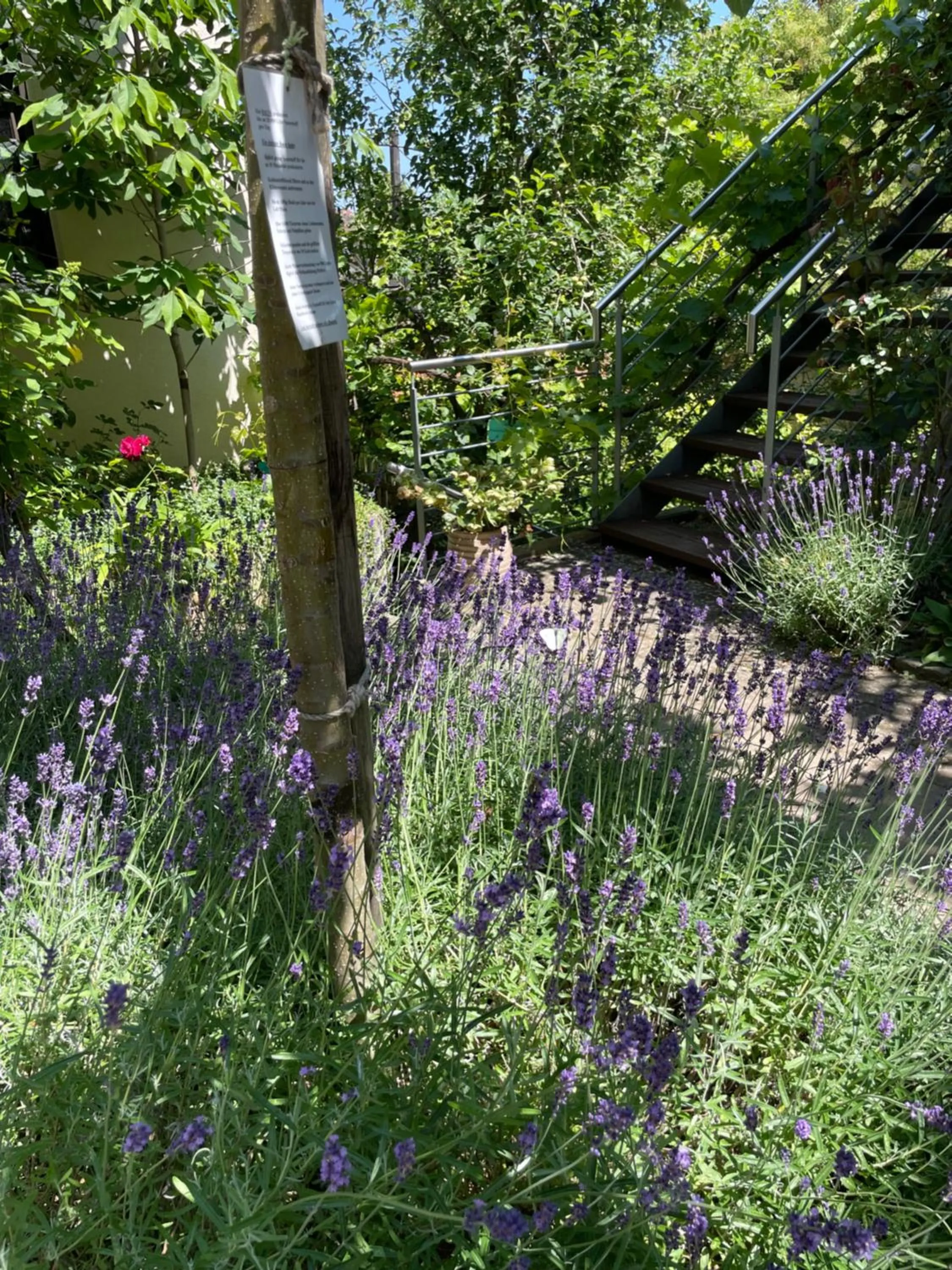 Patio in Jugendstil-Hof