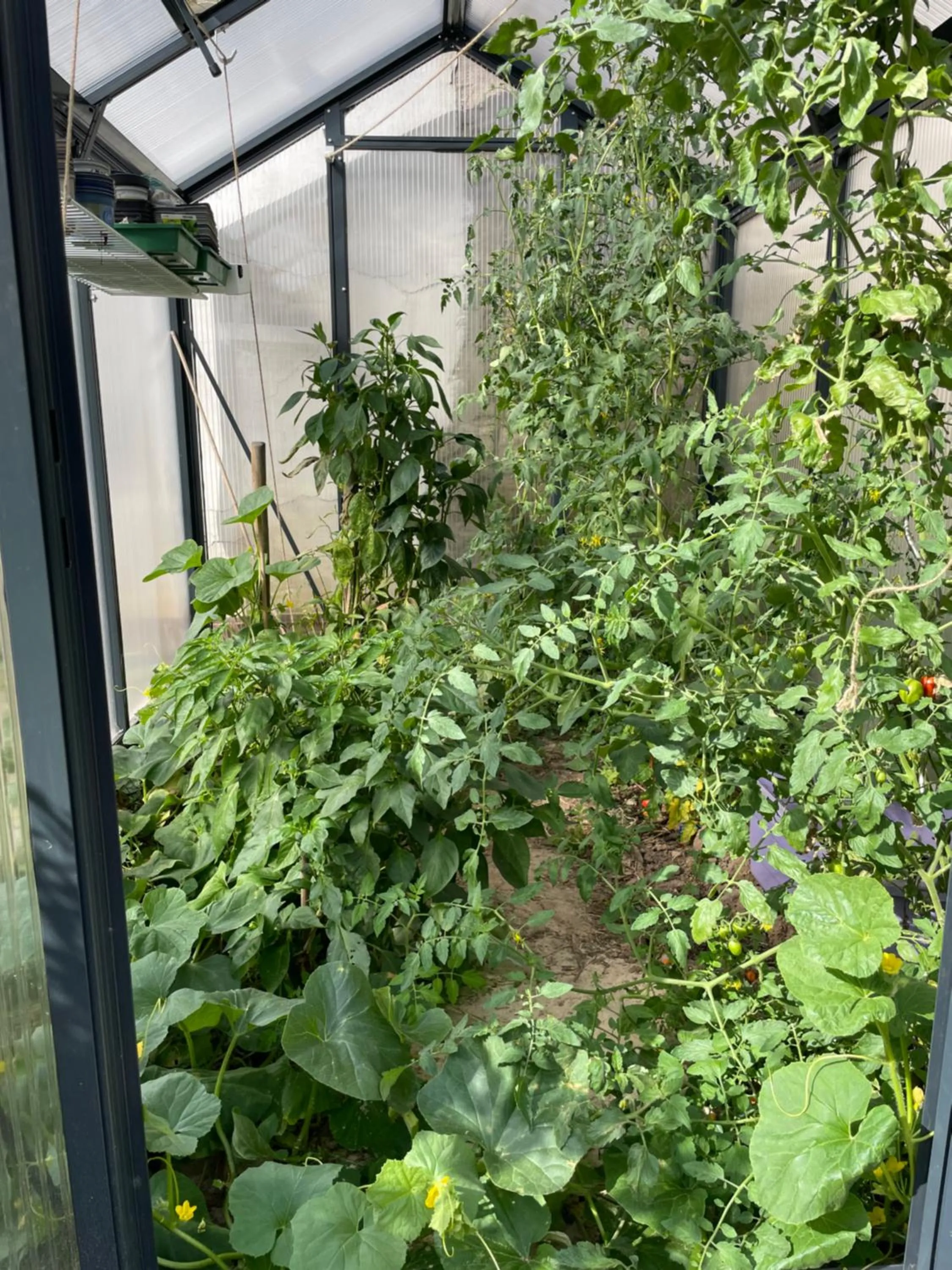 Garden in Jugendstil-Hof