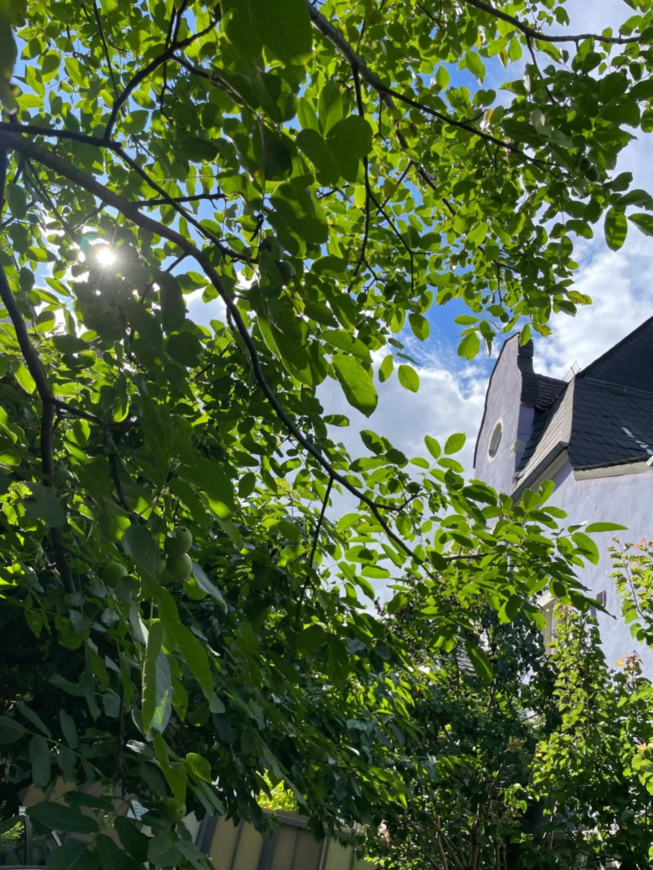 Property building in Jugendstil-Hof