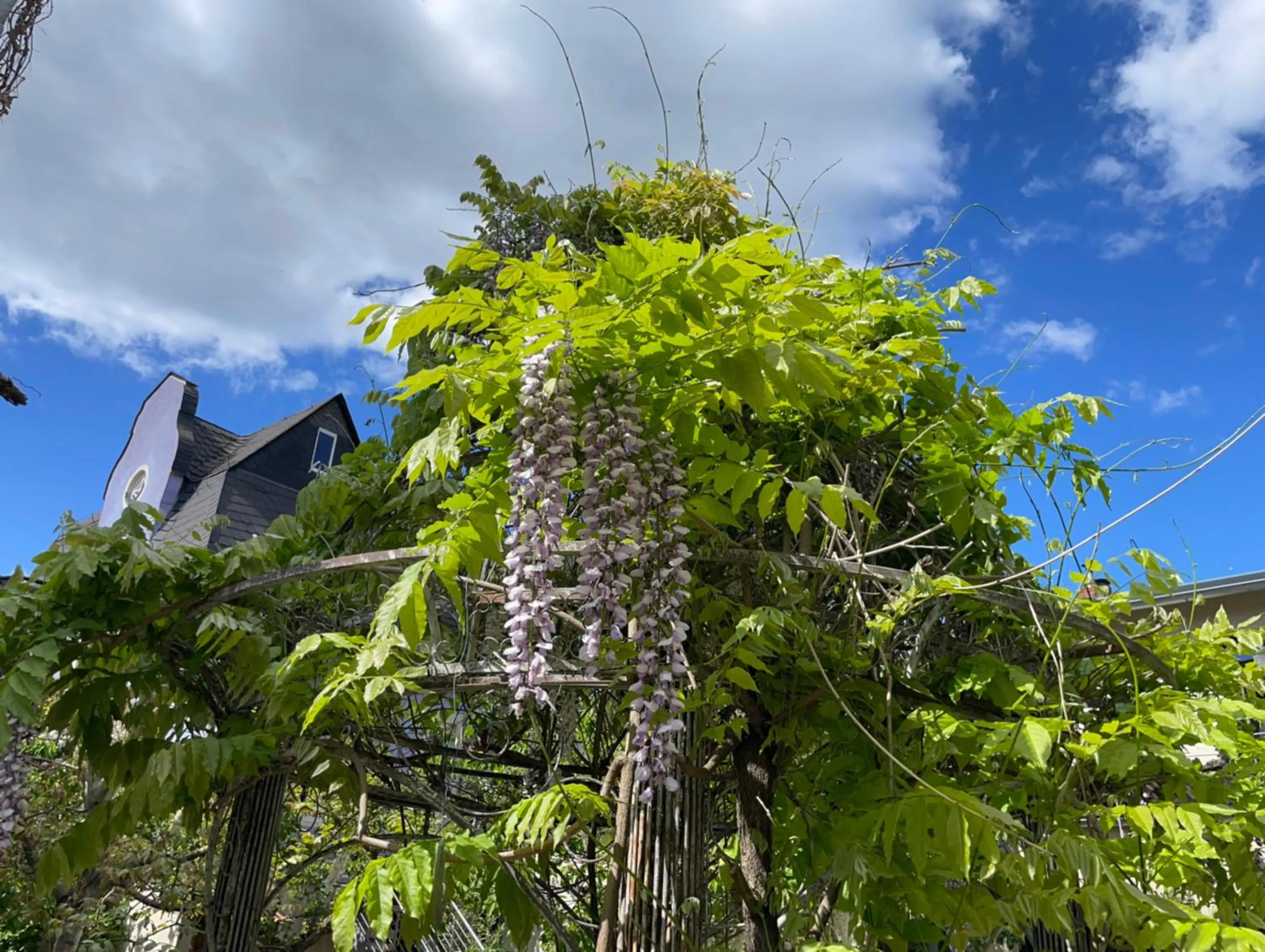 Property building in Jugendstil-Hof