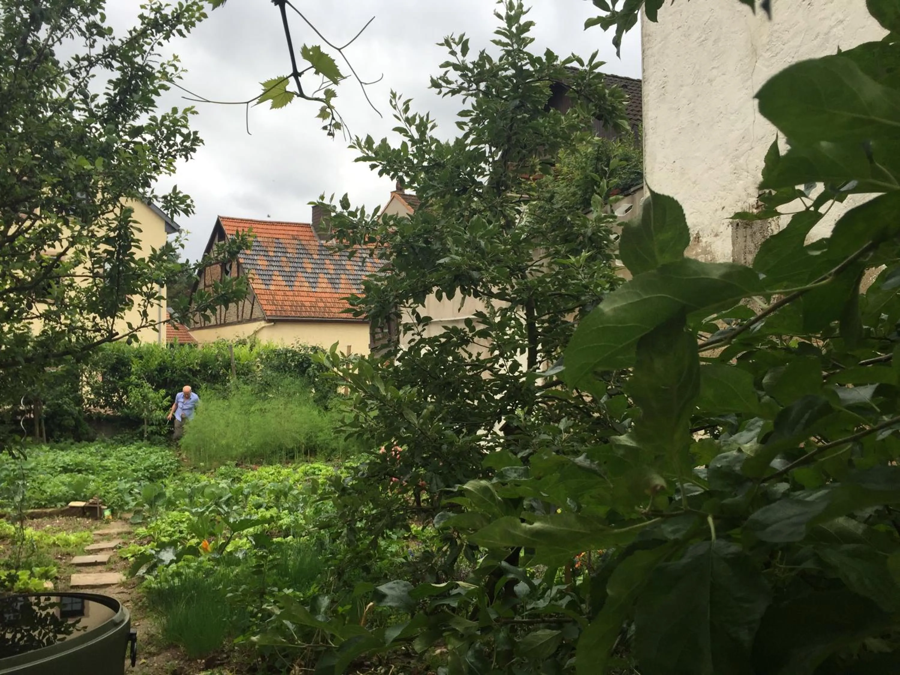 Garden in Jugendstil-Hof