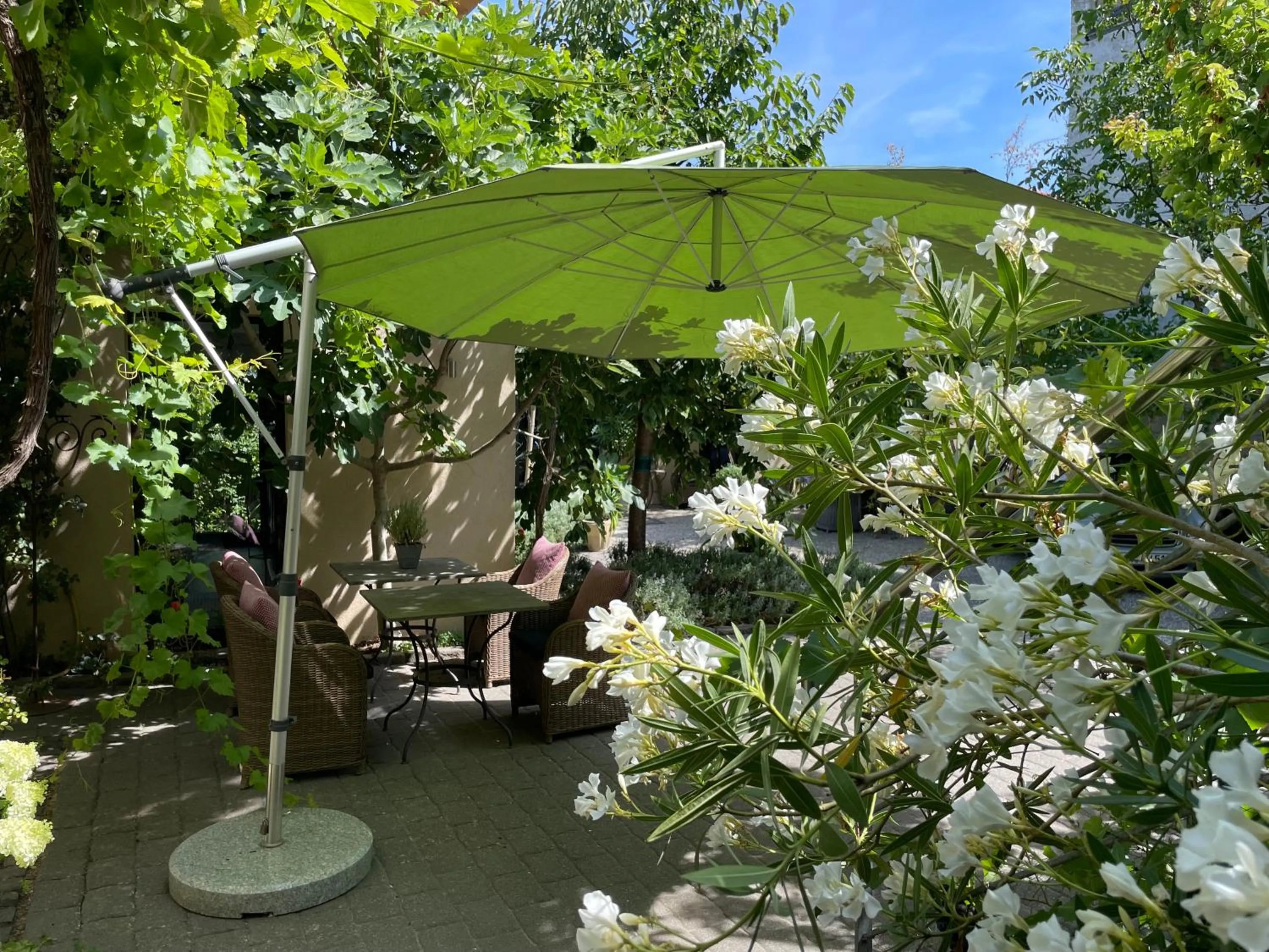Patio in Jugendstil-Hof