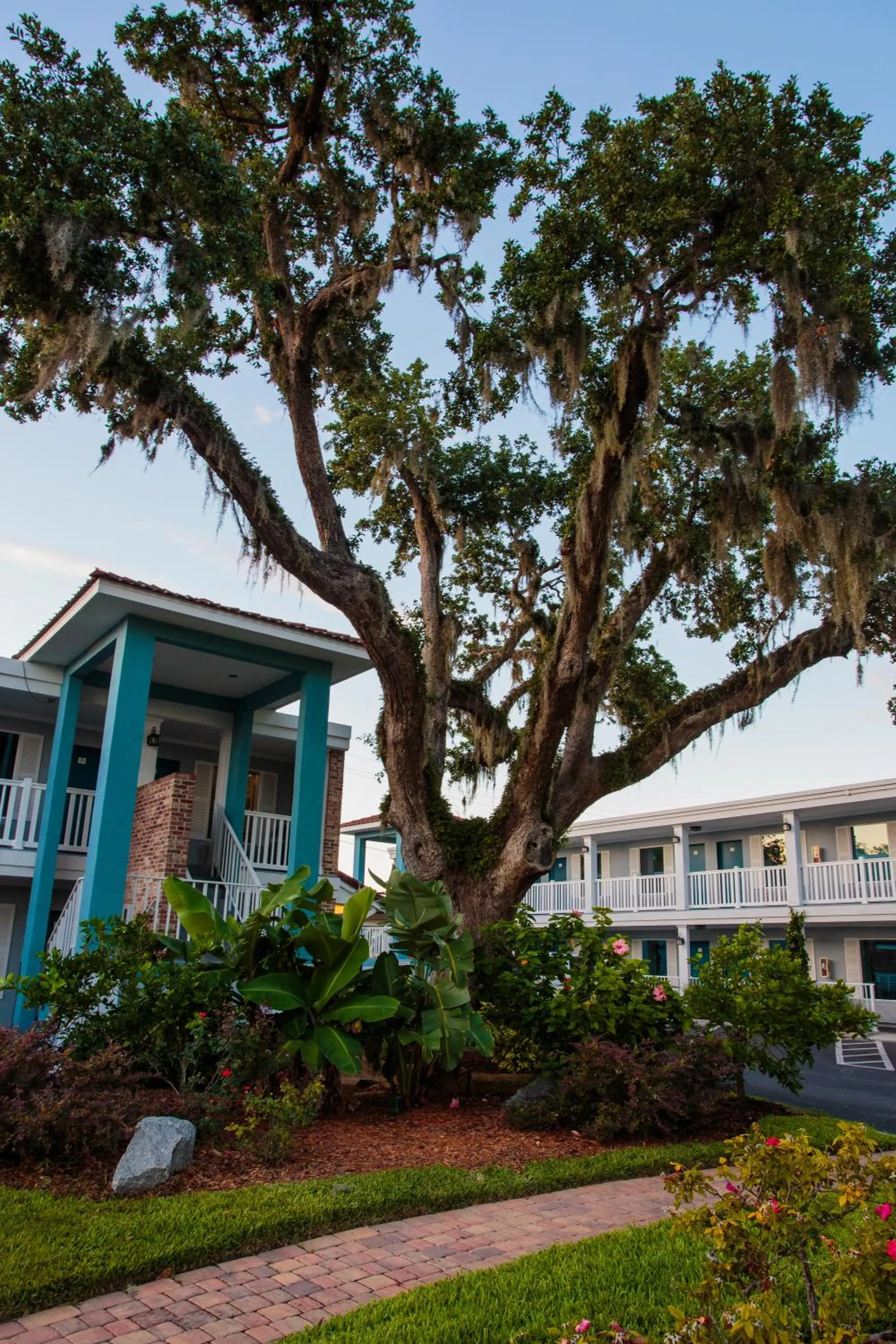 Property building in Southern Oaks Inn - Saint Augustine