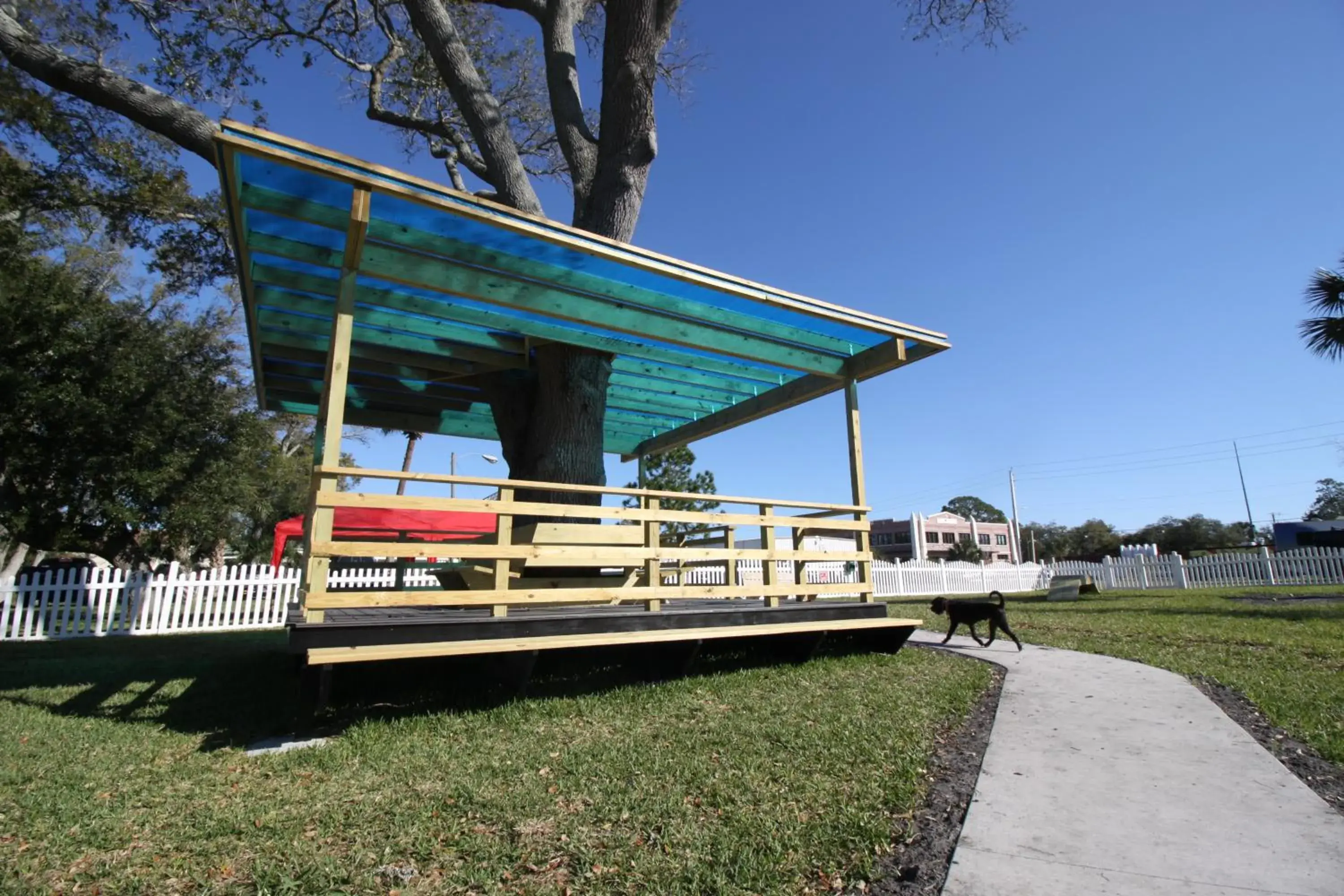 Animals in Quality Inn St Augustine Historic District Area Animals in Quality Inn St Augustine Historic District Area