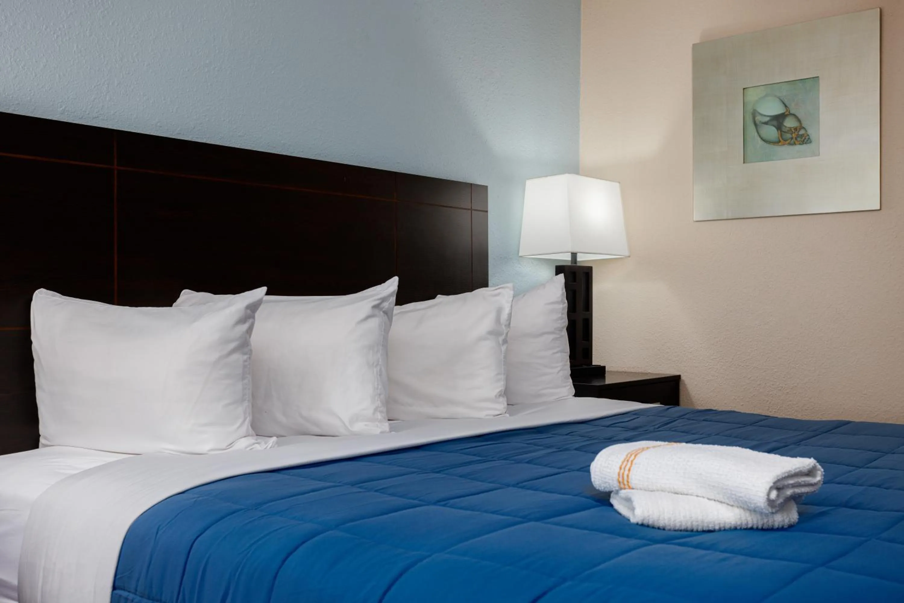 Bed in Southern Oaks Inn - Saint Augustine