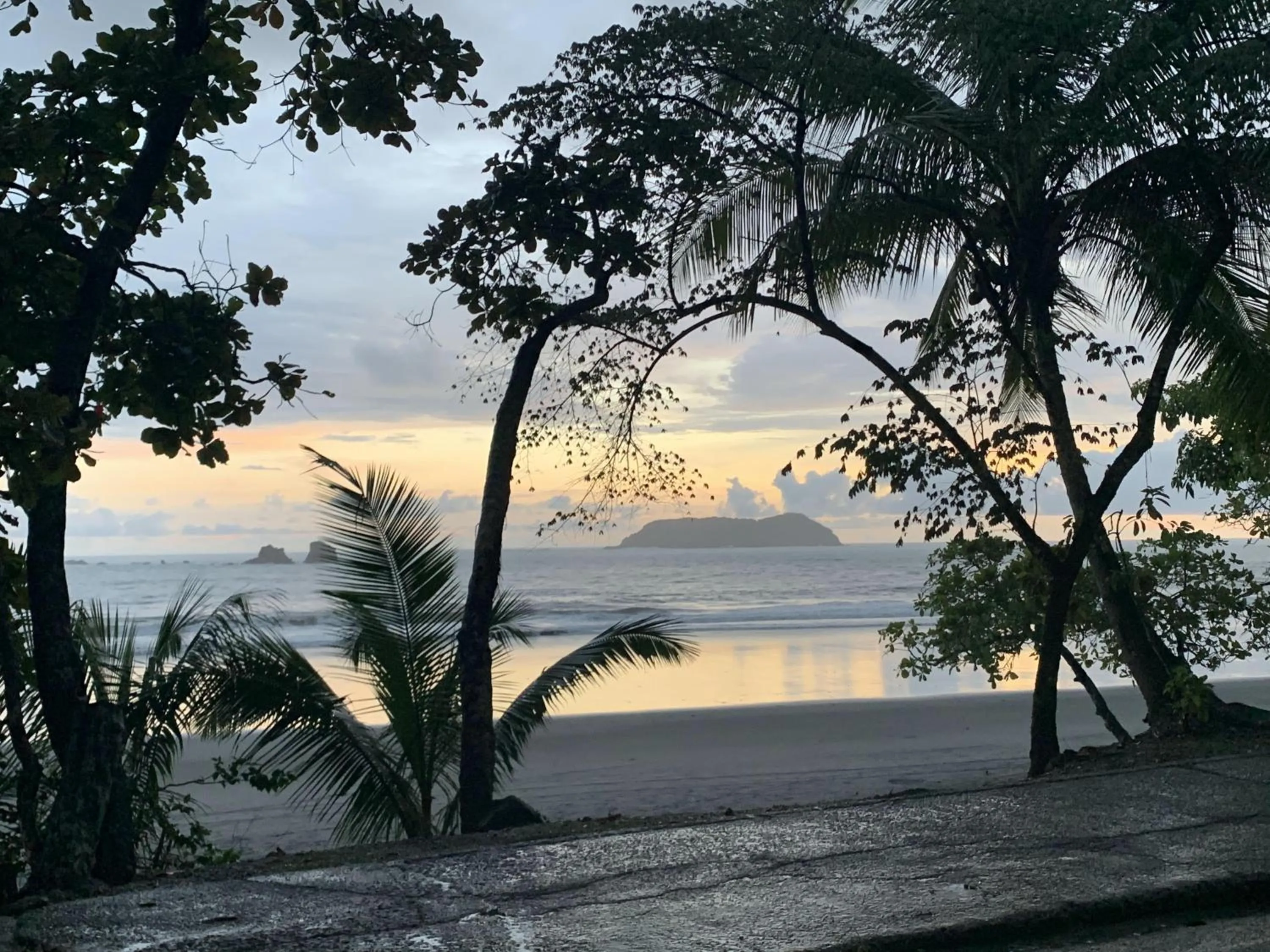 Natural landscape in La Posada Jungle Hotel