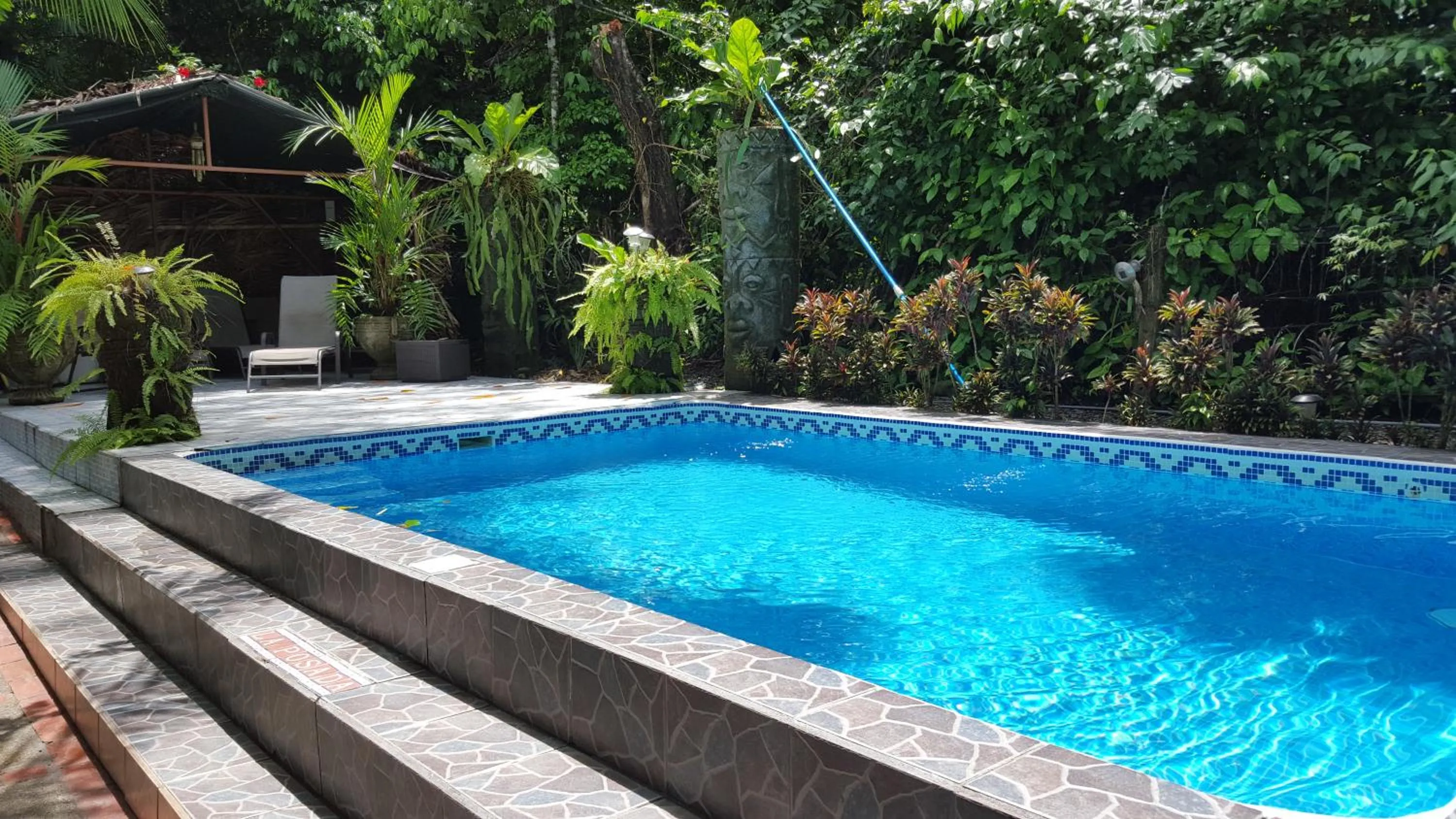 Swimming pool in La Posada Jungle Hotel