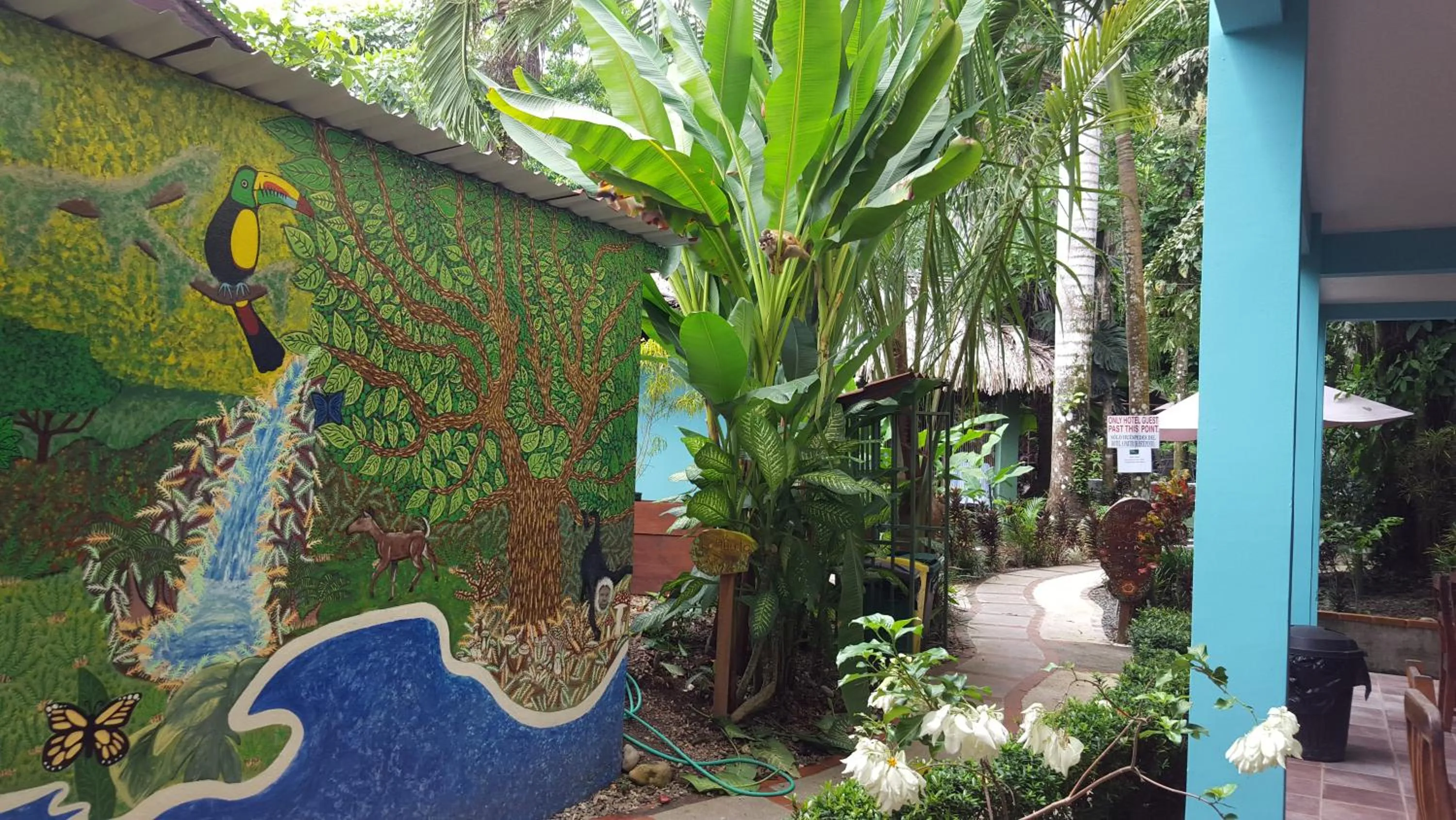 Natural landscape in La Posada Jungle Hotel