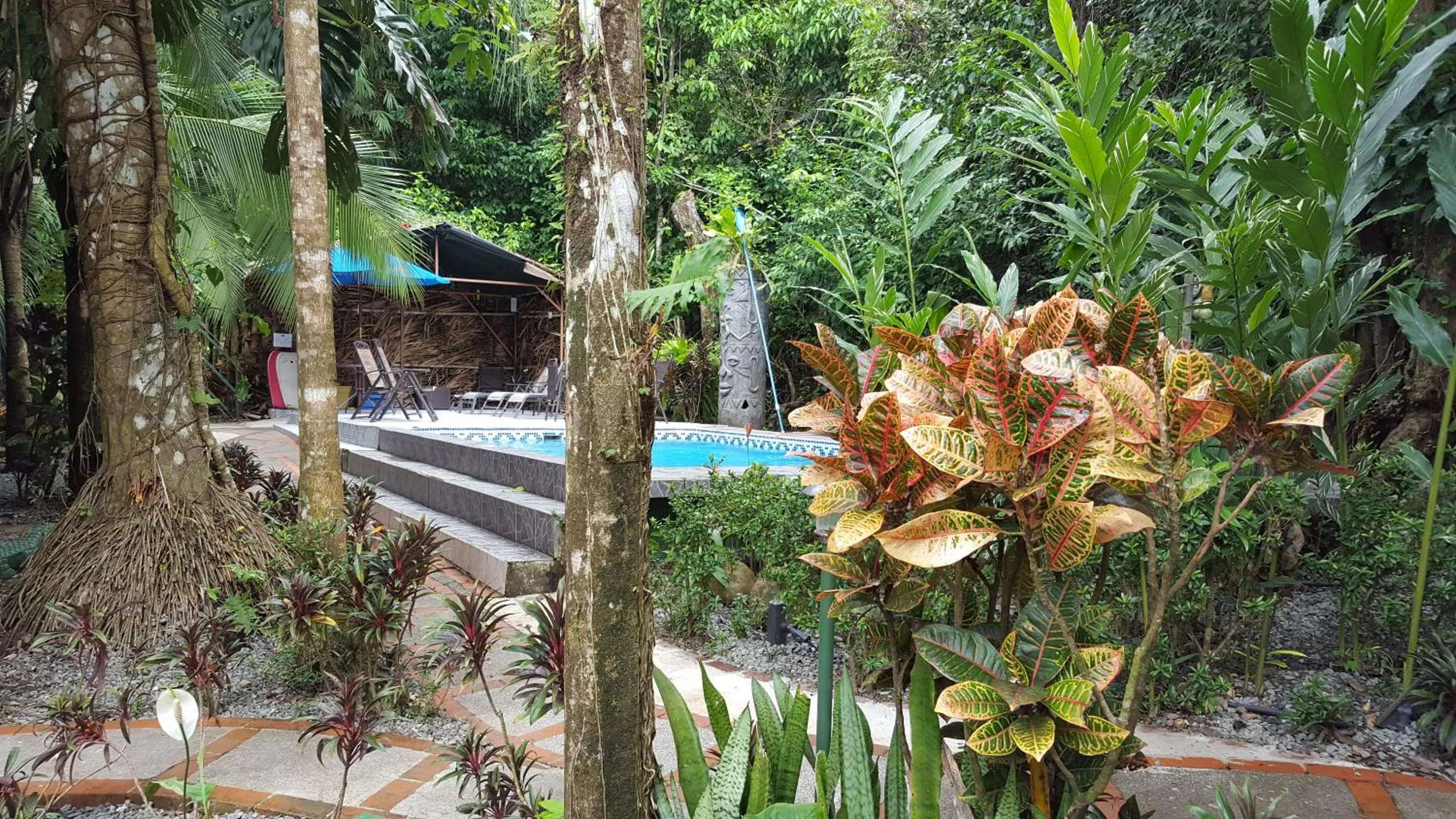 Winter in La Posada Jungle Hotel