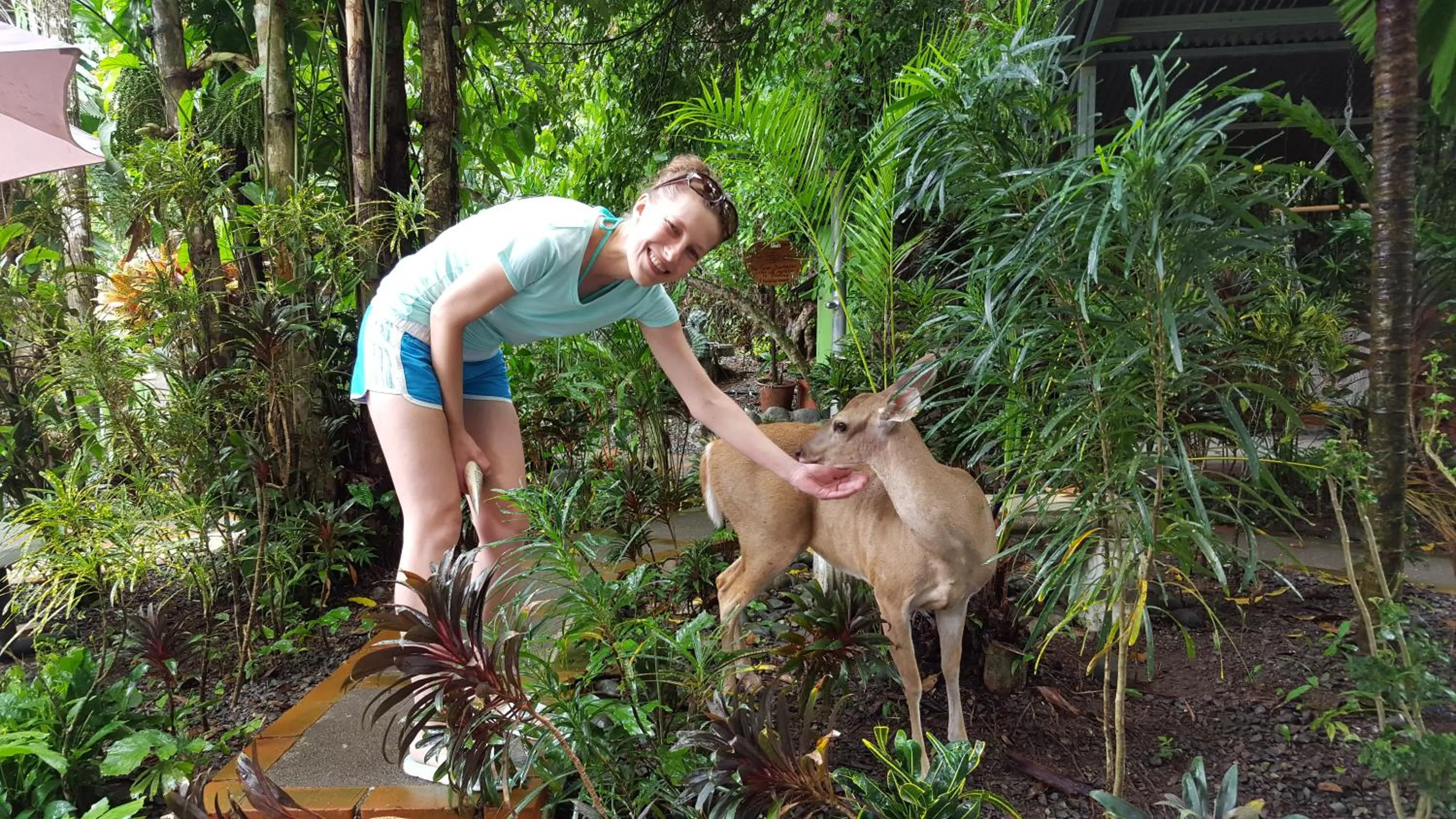 Natural landscape in La Posada Jungle Hotel