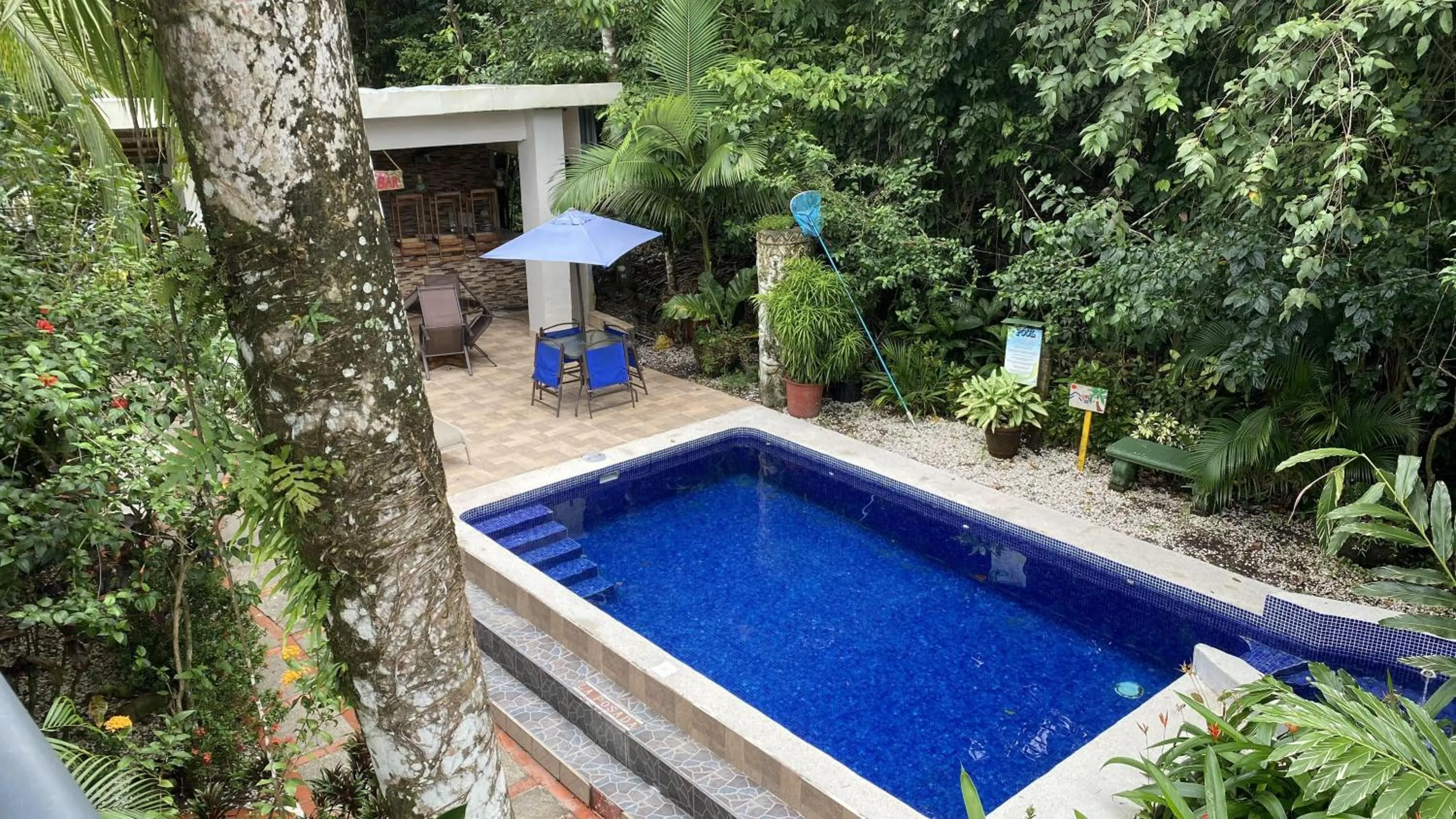 Pool view in La Posada Jungle Hotel