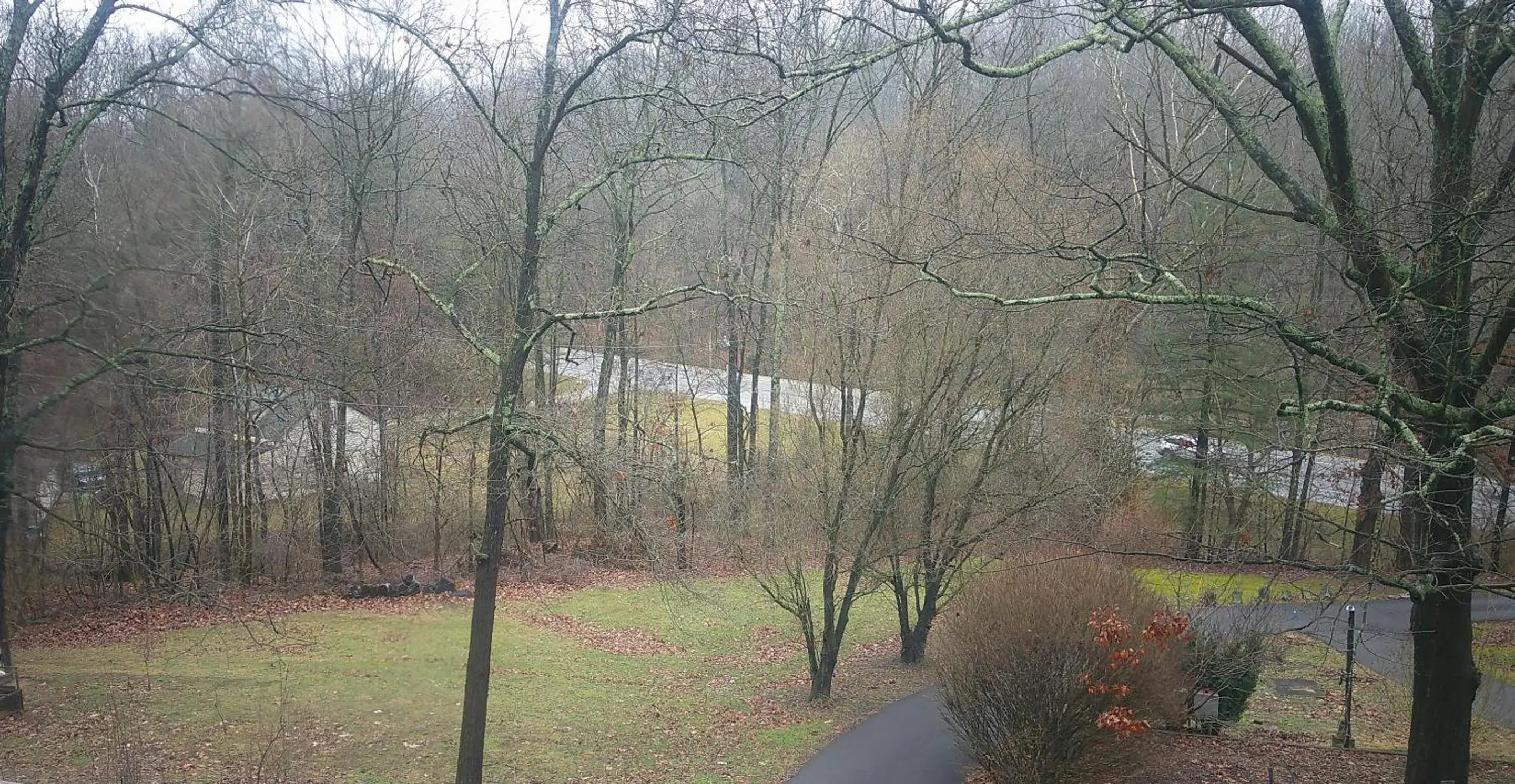 View (from property/room) in Lil Black Bear Inn View (from property/room) in Lil Black Bear Inn