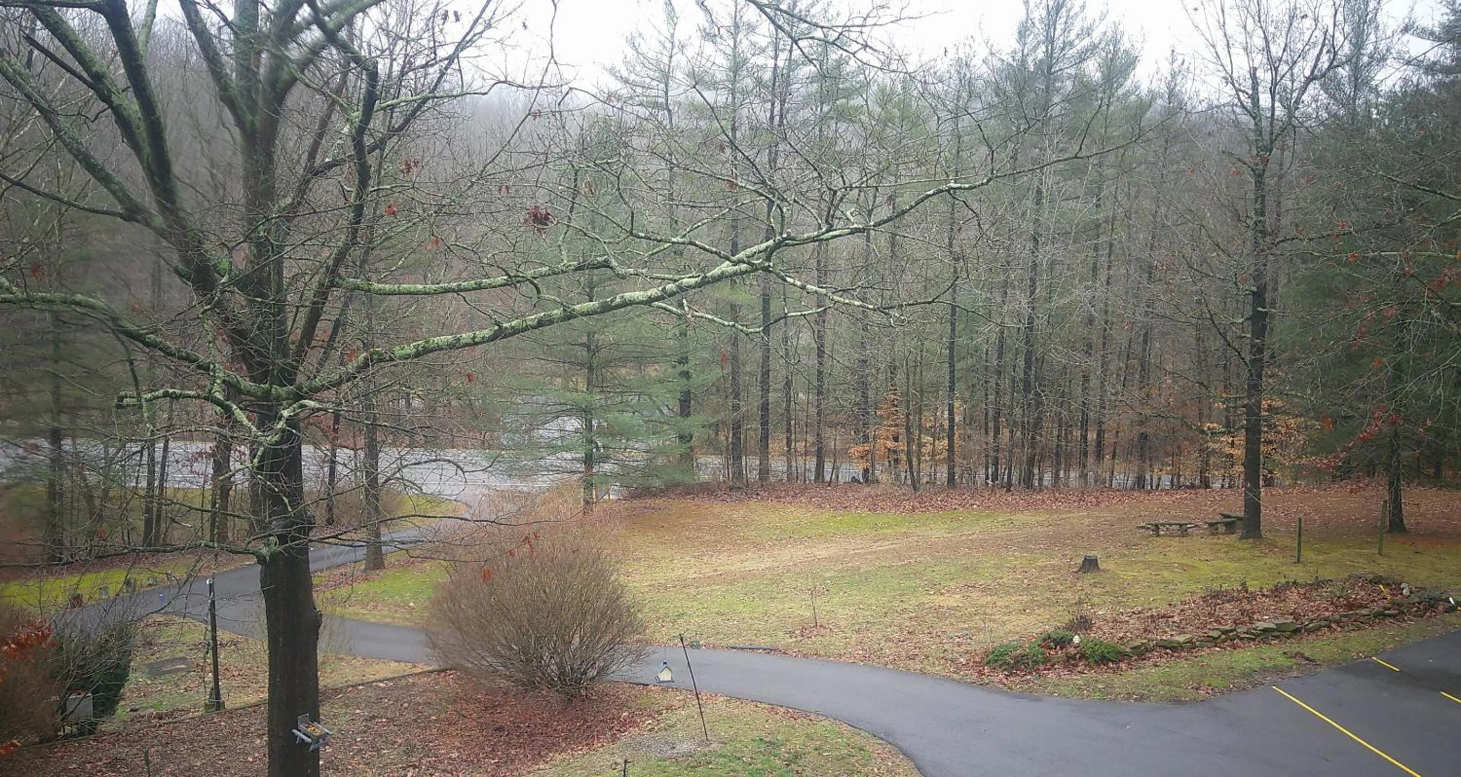 View (from property/room) in Lil Black Bear Inn