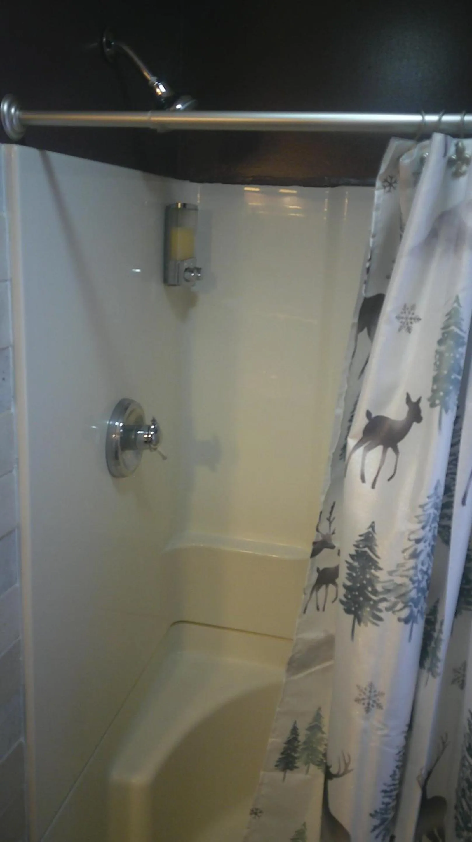 Bathroom in Lil Black Bear Inn