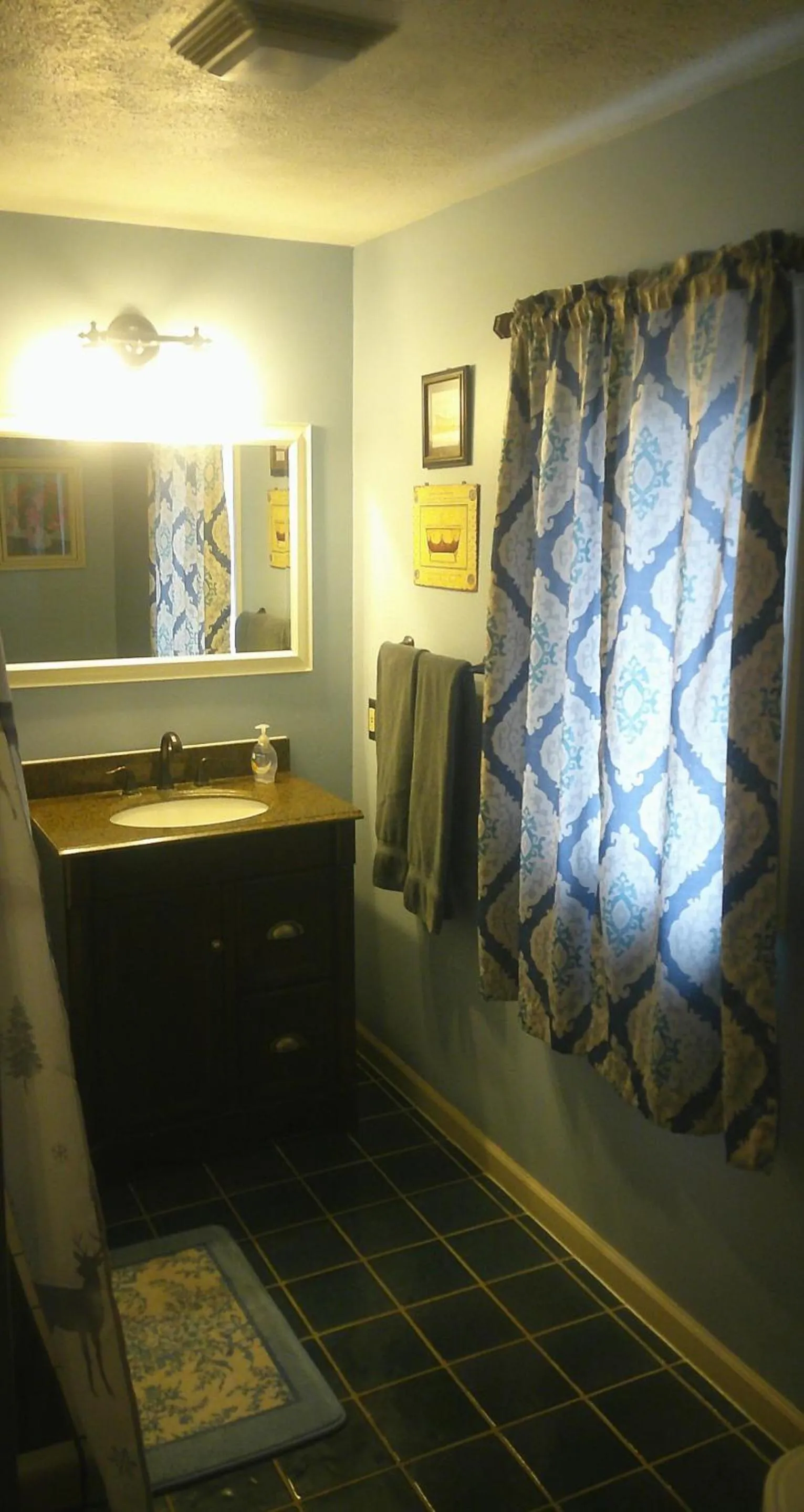 Bathroom in Lil Black Bear Inn